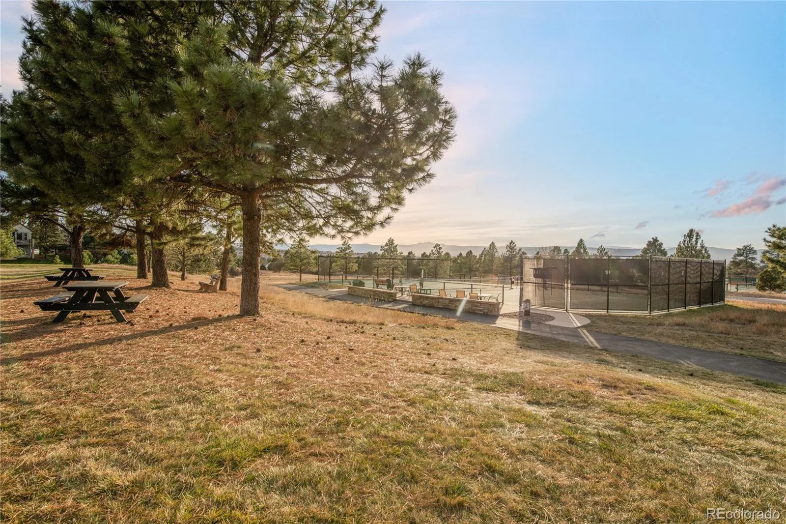 504 Providence Drive Castle Rock CO 80108 MLS #REC4025331 07092026223443 1600 49
