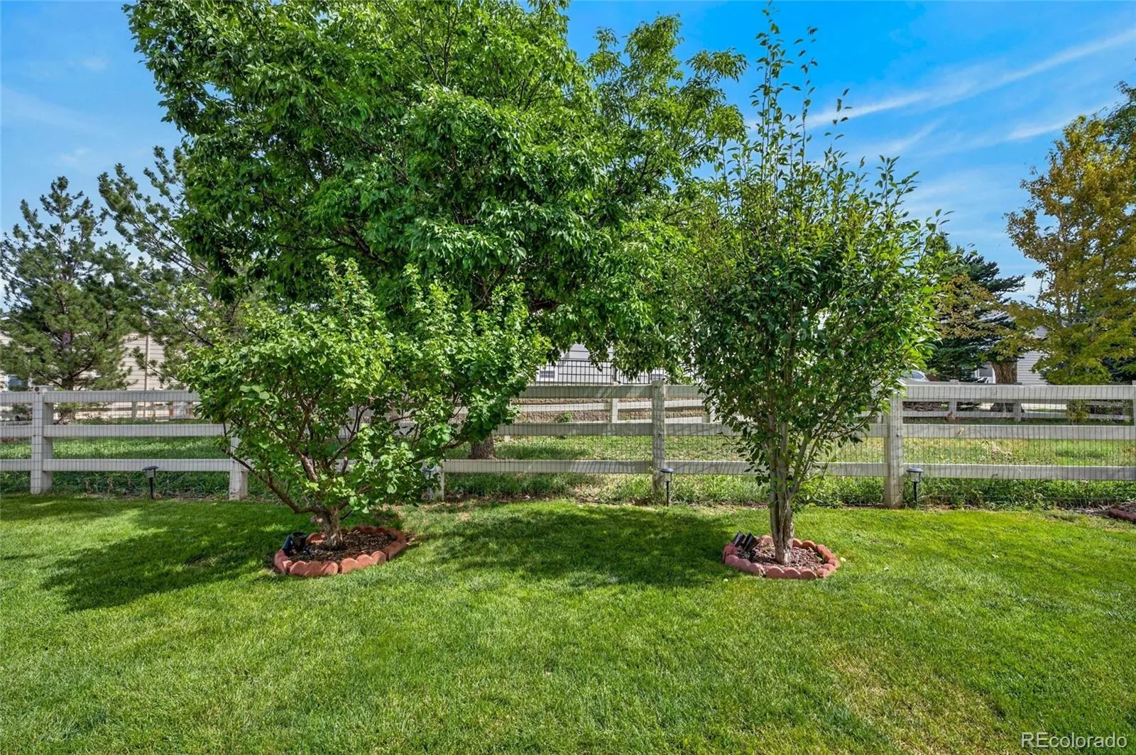 14883 E Maple Place Aurora CO 80012 | MLS #REC4026868 09232026065602 1600 30
