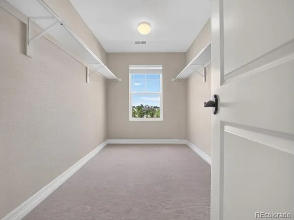348 Vista Cliff Circle Castle Rock CO 80104 | MLS #REC4031370 08222026063115 600 20