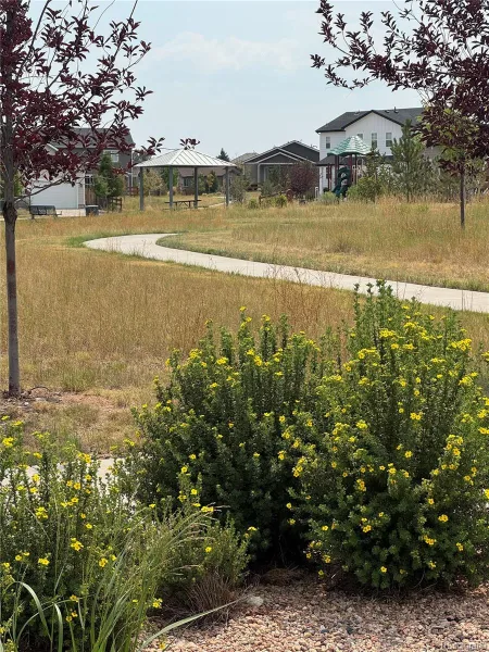 348 Vista Cliff Circle Castle Rock CO 80104 | MLS #REC4031370 08222026063115 800 46