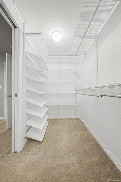 6243 S Blackhawk Court Centennial CO 80111 MLS #REC4035615 06172026213037 800 34