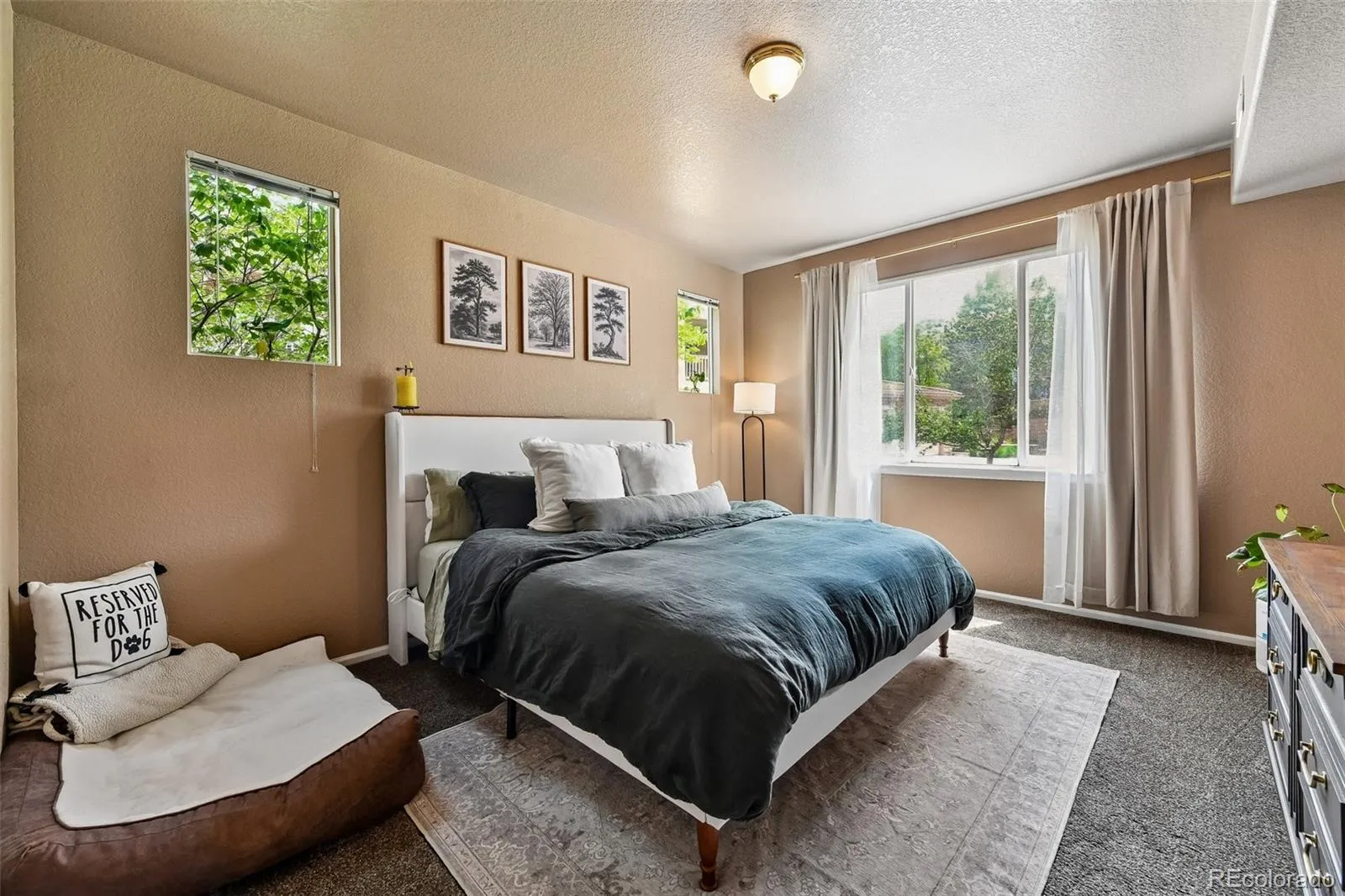 22920 E Roxbury Drive #E Aurora CO 80016 MLS #REC4037257 05282026140714 1600 21