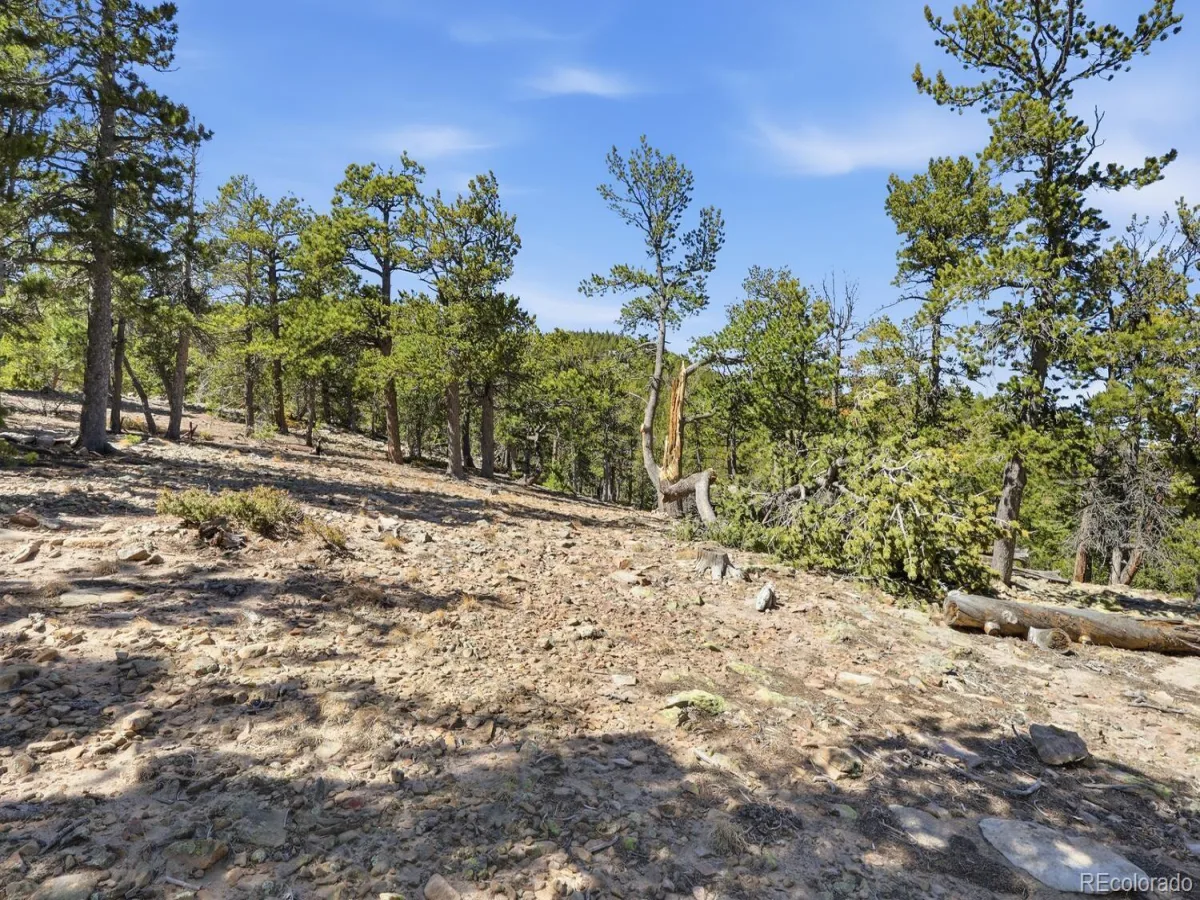 33149 Janelle Circle Golden CO 80403 | MLS #REC4043750 08122026163753 1200 5