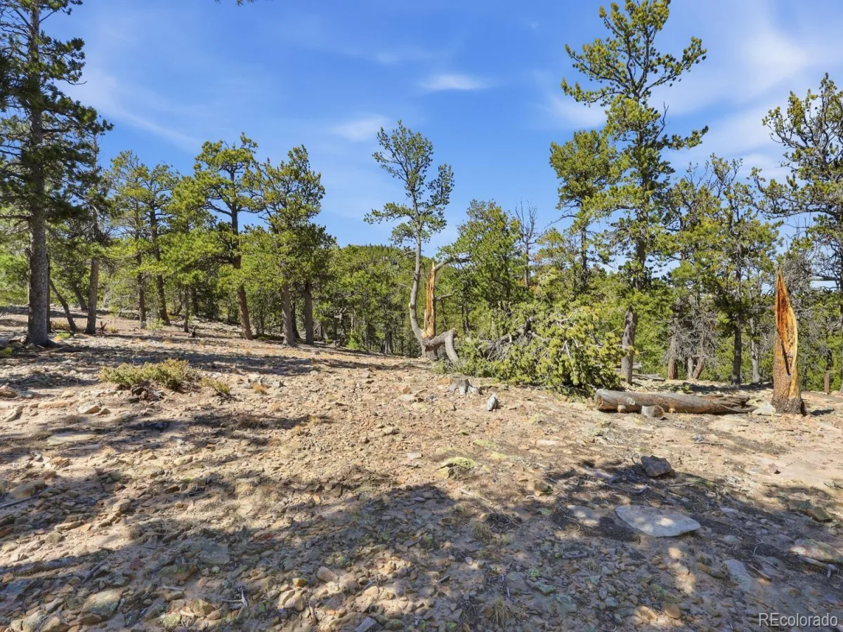 33149 Janelle Circle Golden CO 80403 | MLS #REC4043750 08122026163753 1200 7