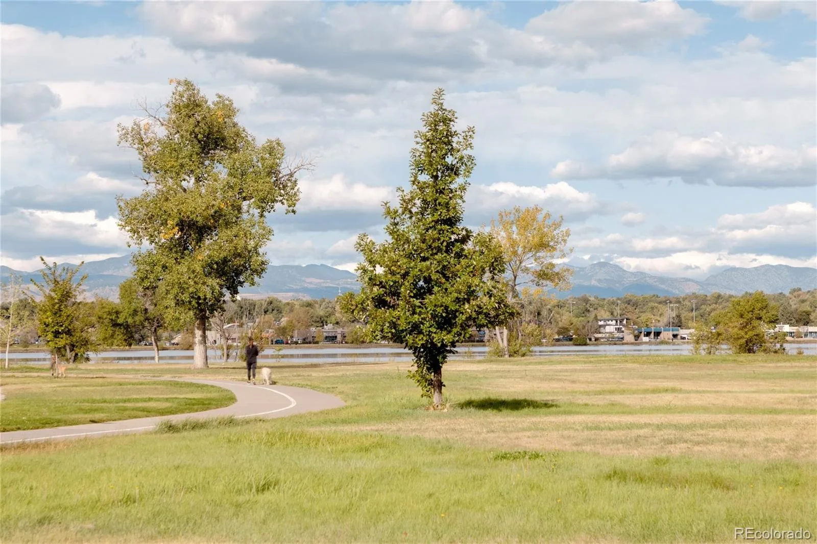 3415 Meade Street Denver CO 80211 | MLS #REC4045282 08202026132420 1600 41
