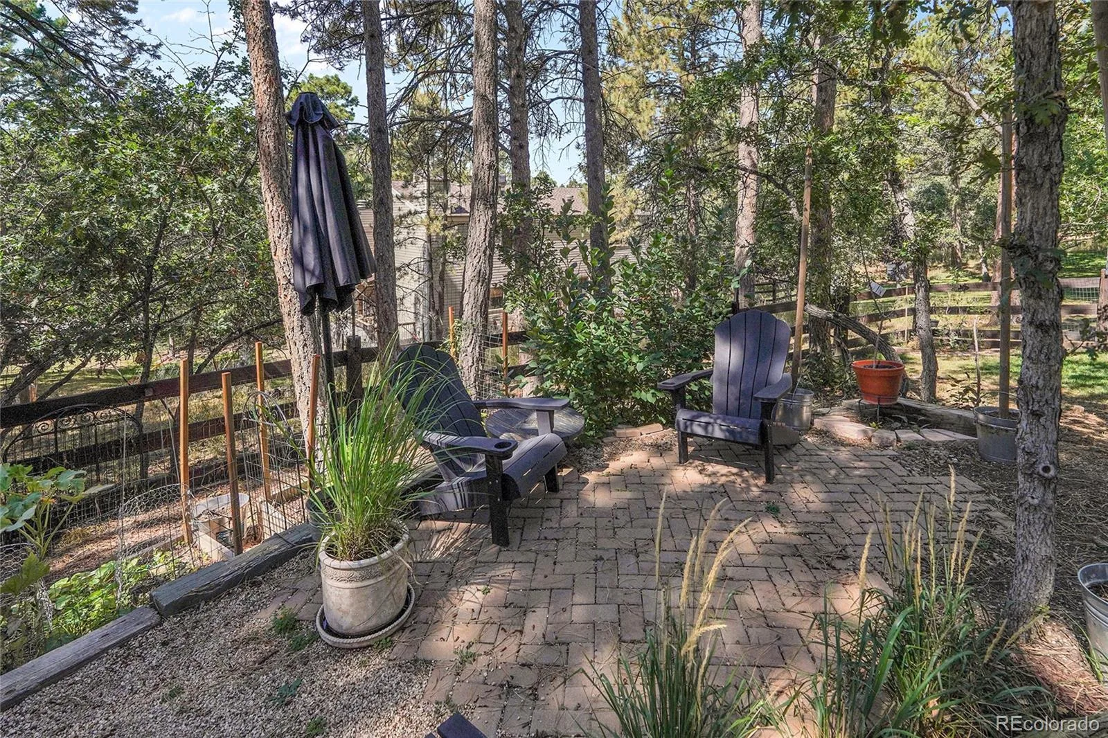 5649 Quinlin Court Parker CO 80134 MLS #REC4045692 06012026132414 1600 40