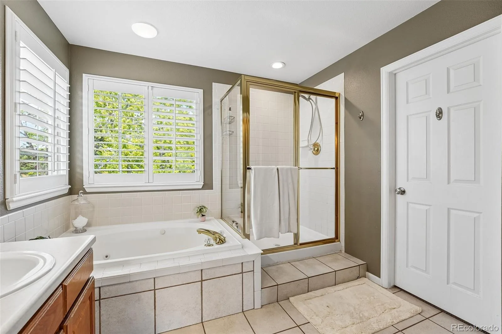 10053 Heywood Street Littleton CO 80130 | MLS #REC4054844 07152026225737 1600 25