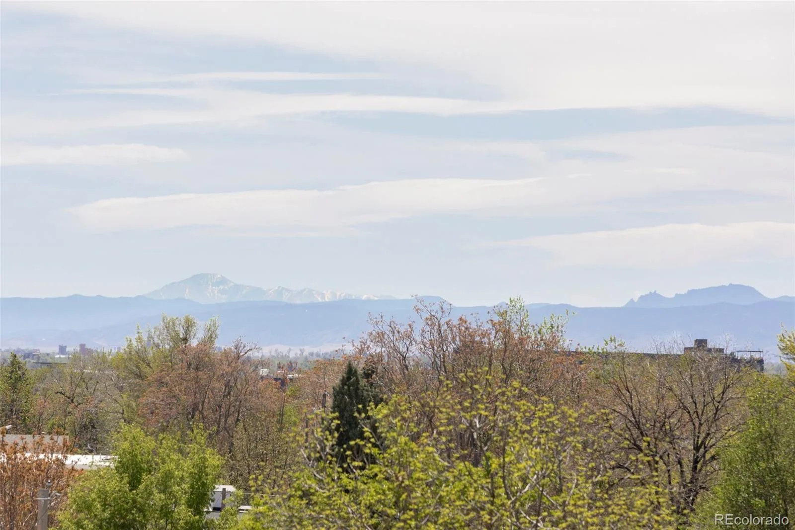 2740 Hazel Court Denver CO 80211 MLS #REC4055677 06132026033915 1600 40