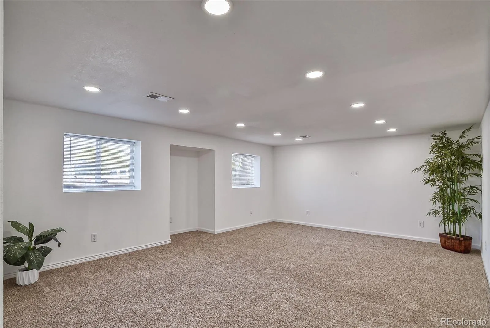 8246 S Dover Street Littleton CO 80128 MLS #REC4060491 05232026182316 1600 22