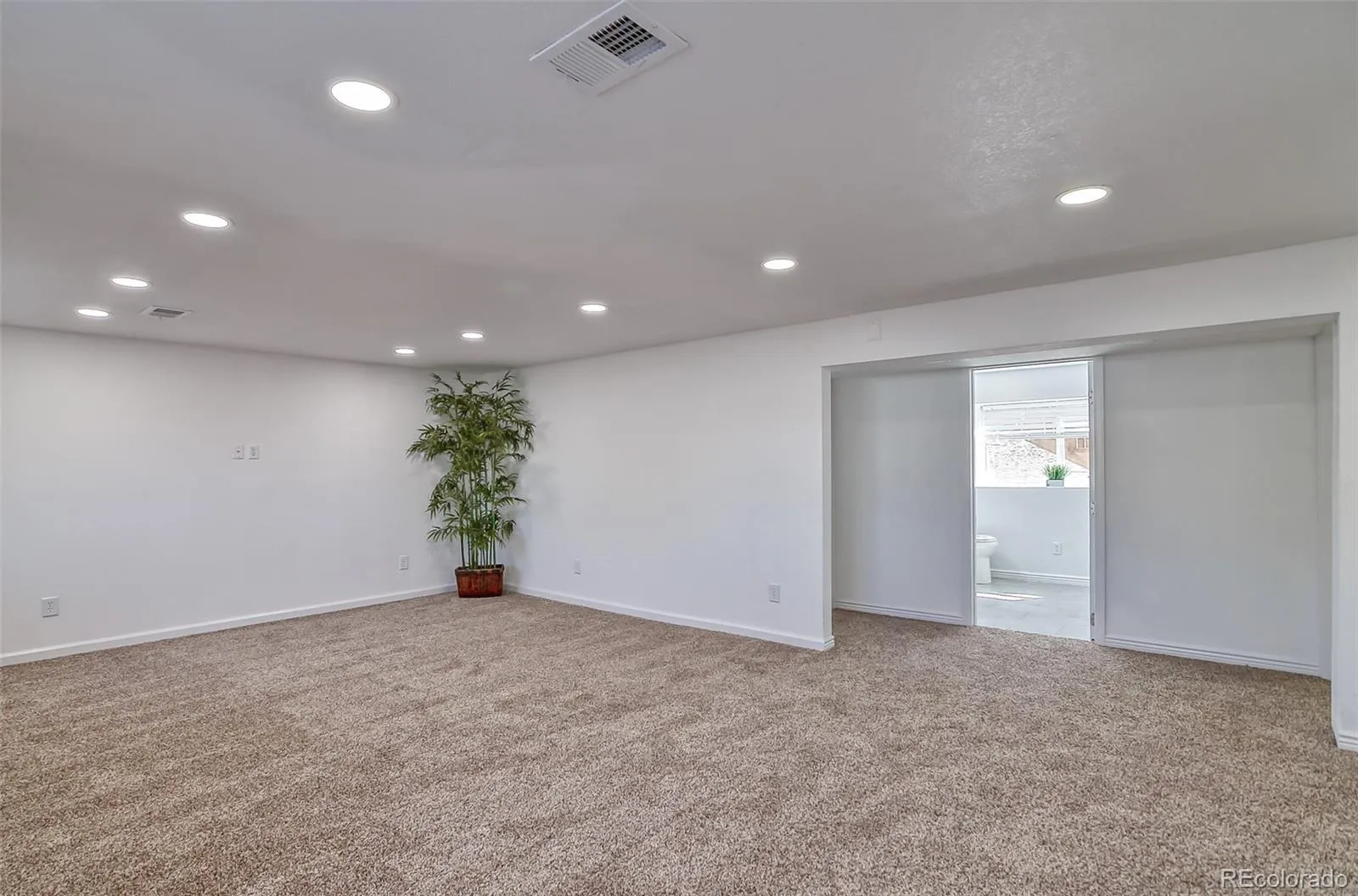8246 S Dover Street Littleton CO 80128 MLS #REC4060491 05232026182316 1600 23