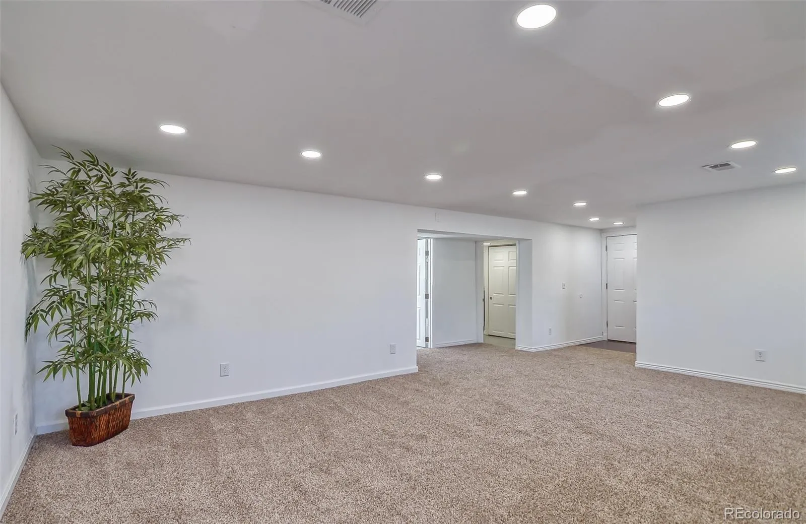 8246 S Dover Street Littleton CO 80128 MLS #REC4060491 05232026182316 1600 24