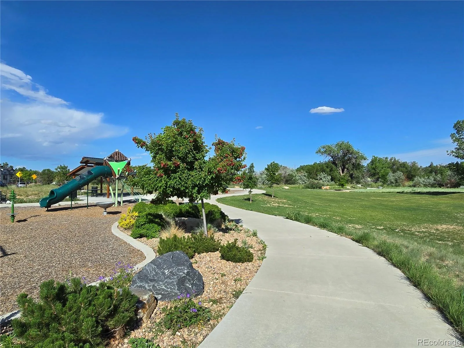 5733 Van Gordon Way Arvada CO 80002 MLS #REC4068767 06252026215528 1600 36