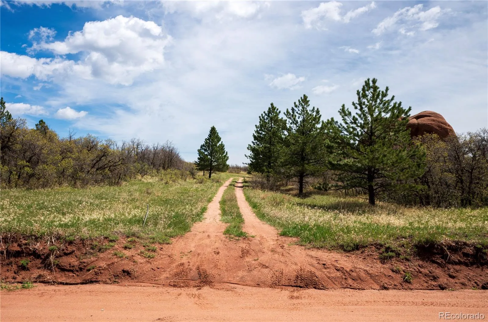 6128 Columbine Court Larkspur CO 80118 | MLS #REC4074062 05282026042547 1600 1