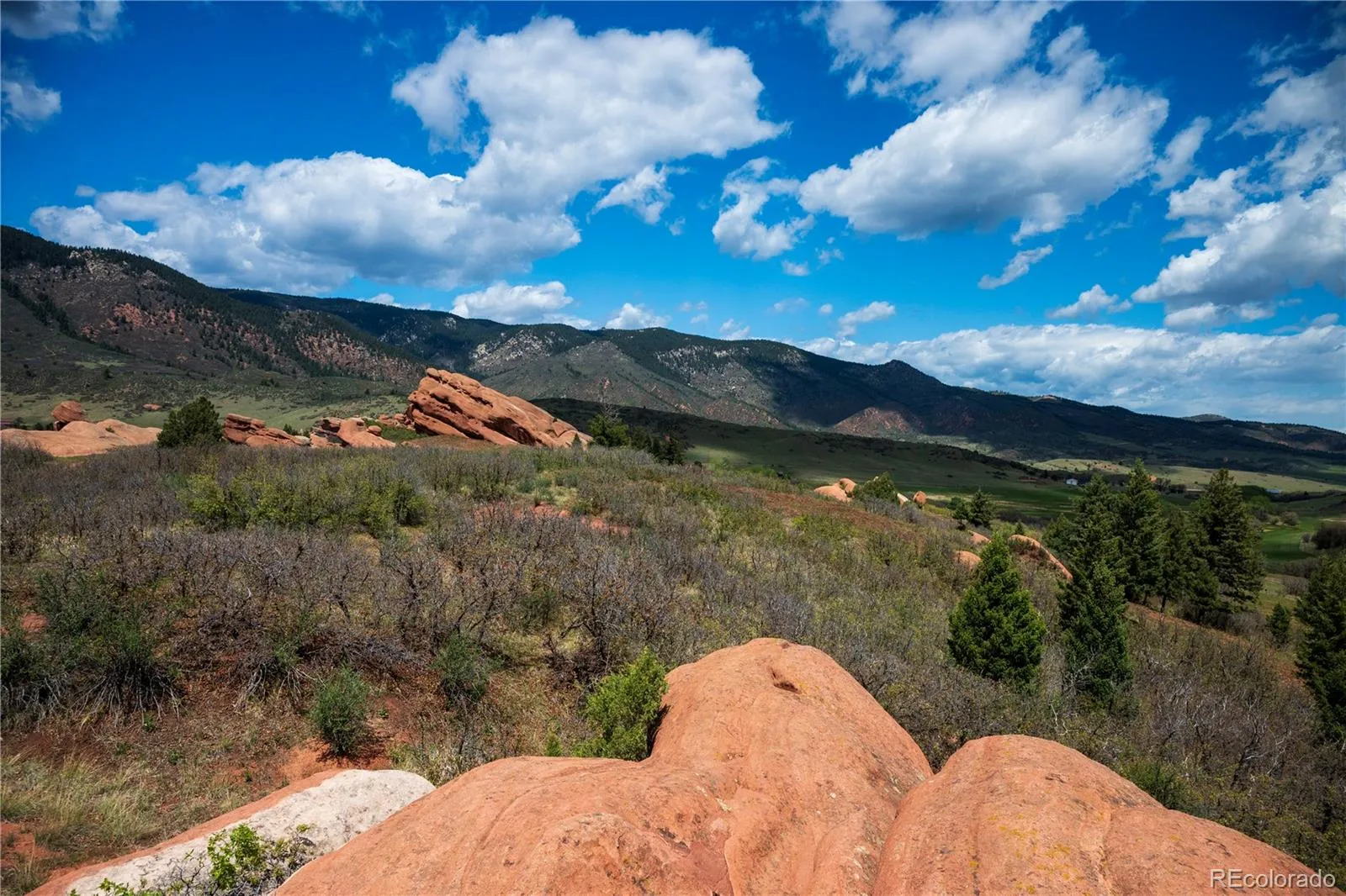 6128 Columbine Court Larkspur CO 80118 | MLS #REC4074062 05282026042547 1600 12