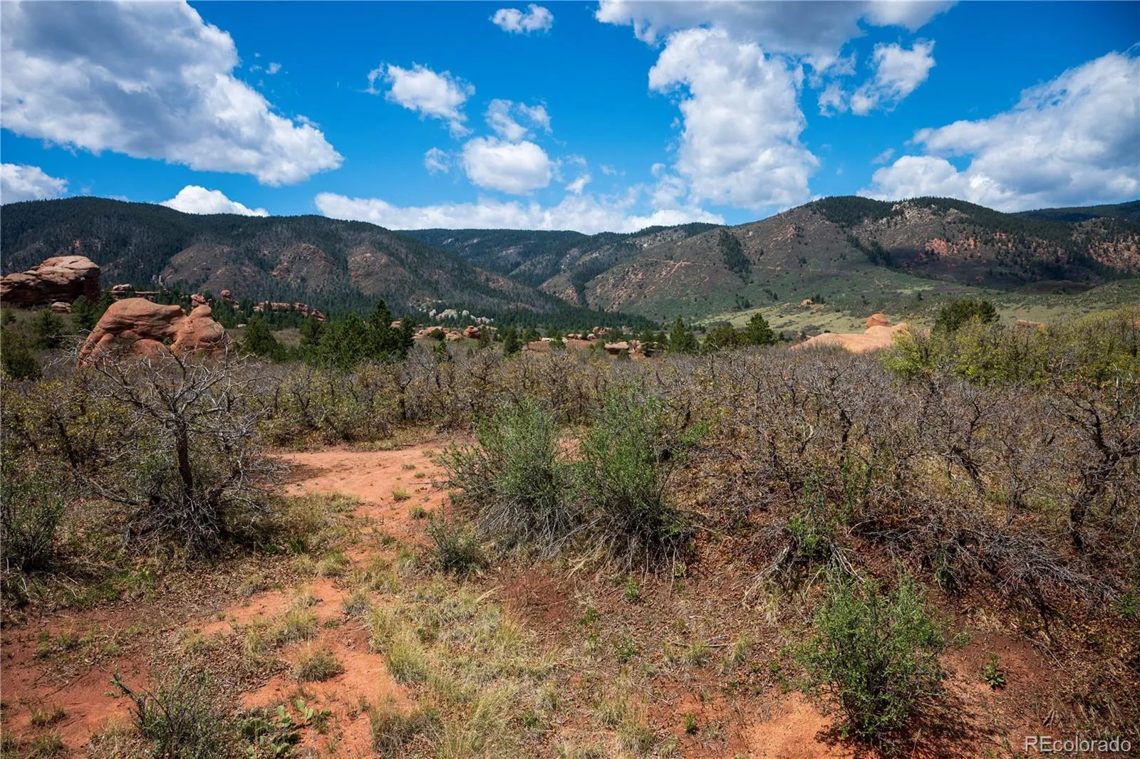 6128 Columbine Court Larkspur CO 80118 | MLS #REC4074062 05282026042547 1600 16