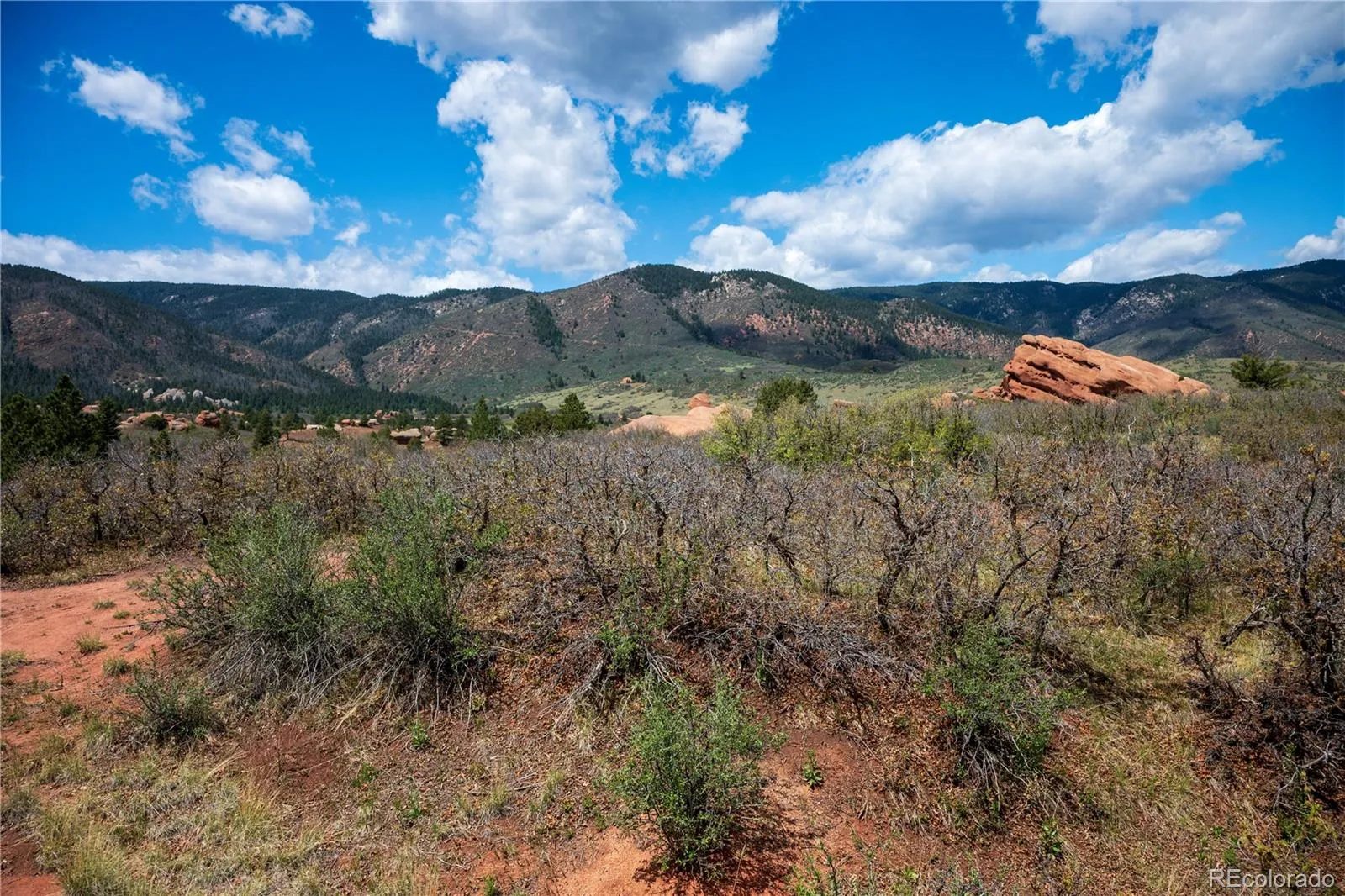 6128 Columbine Court Larkspur CO 80118 | MLS #REC4074062 05282026042547 1600 17
