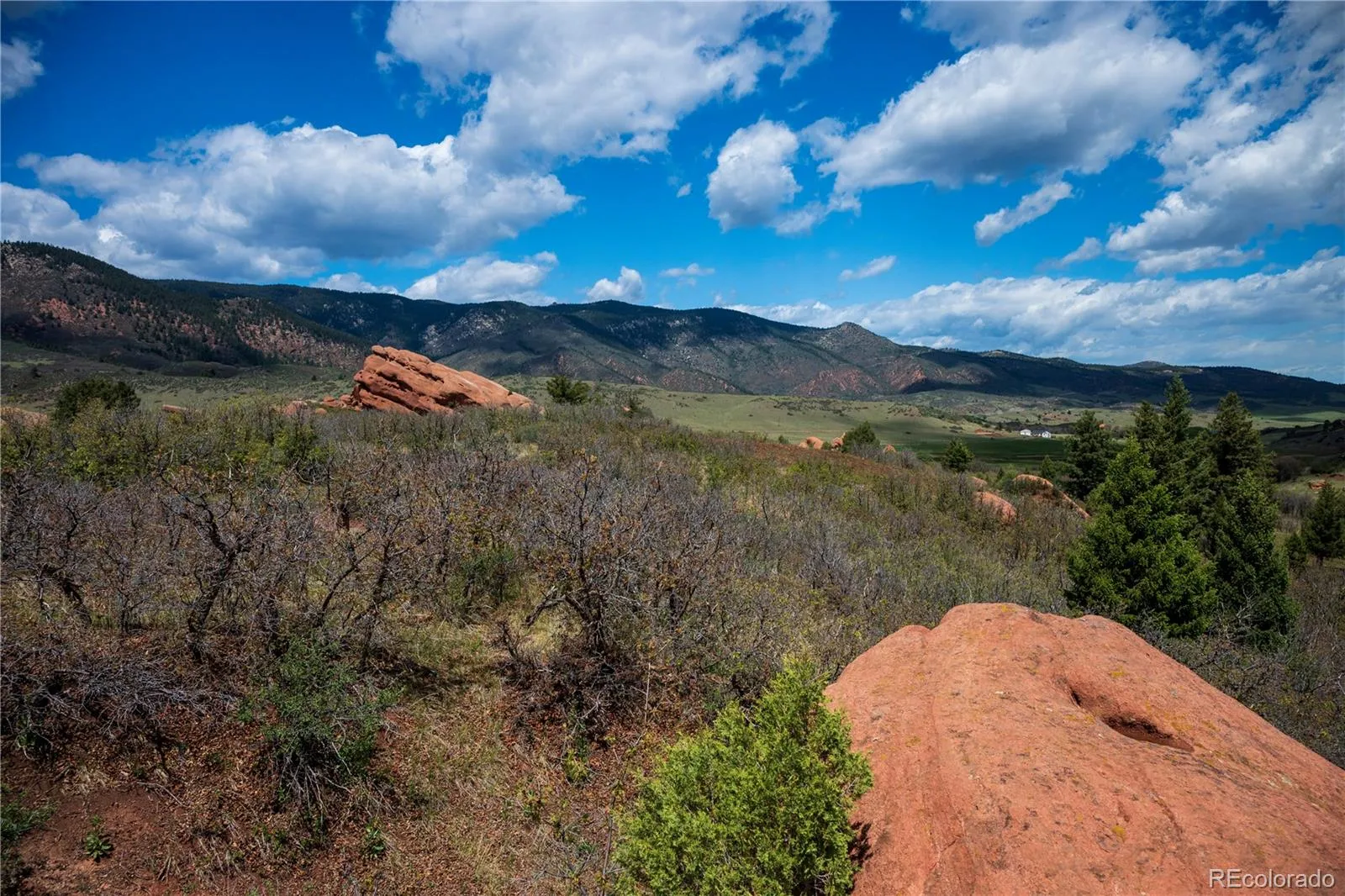 6128 Columbine Court Larkspur CO 80118 | MLS #REC4074062 05282026042547 1600 18