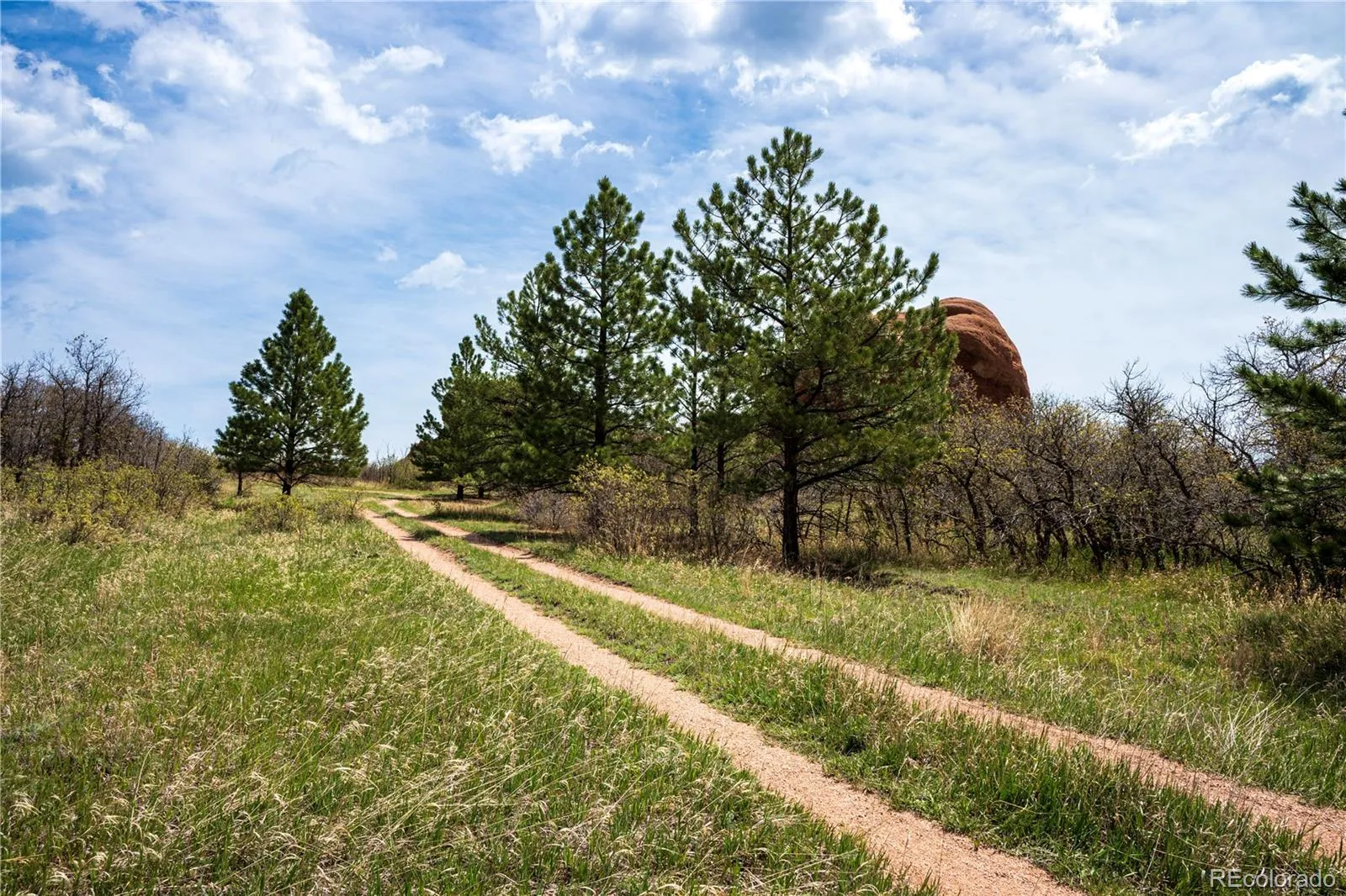 6128 Columbine Court Larkspur CO 80118 | MLS #REC4074062 05282026042547 1600 2