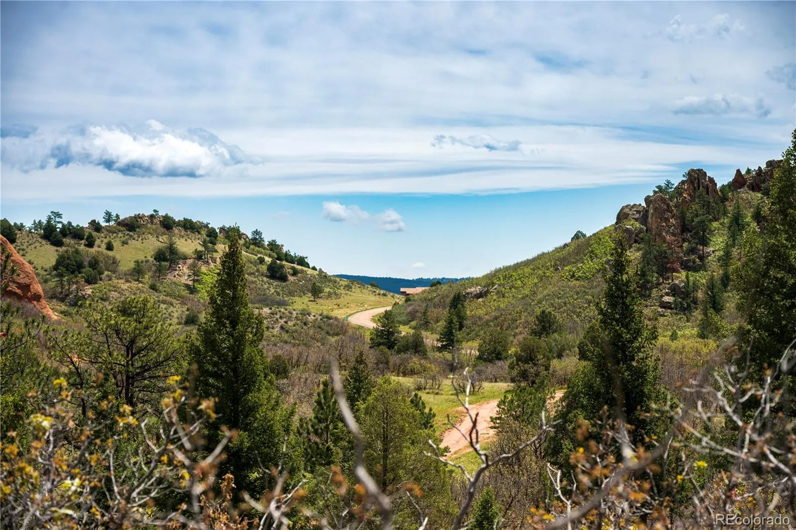 6128 Columbine Court Larkspur CO 80118 | MLS #REC4074062 05282026042547 1600 21