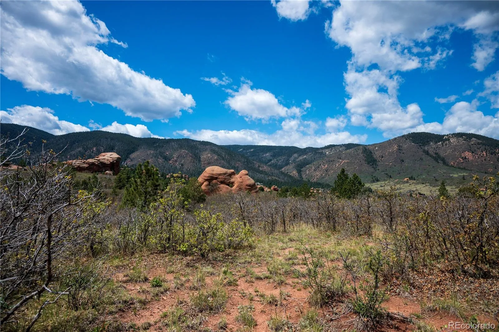 6128 Columbine Court Larkspur CO 80118 | MLS #REC4074062 05282026042547 1600 23