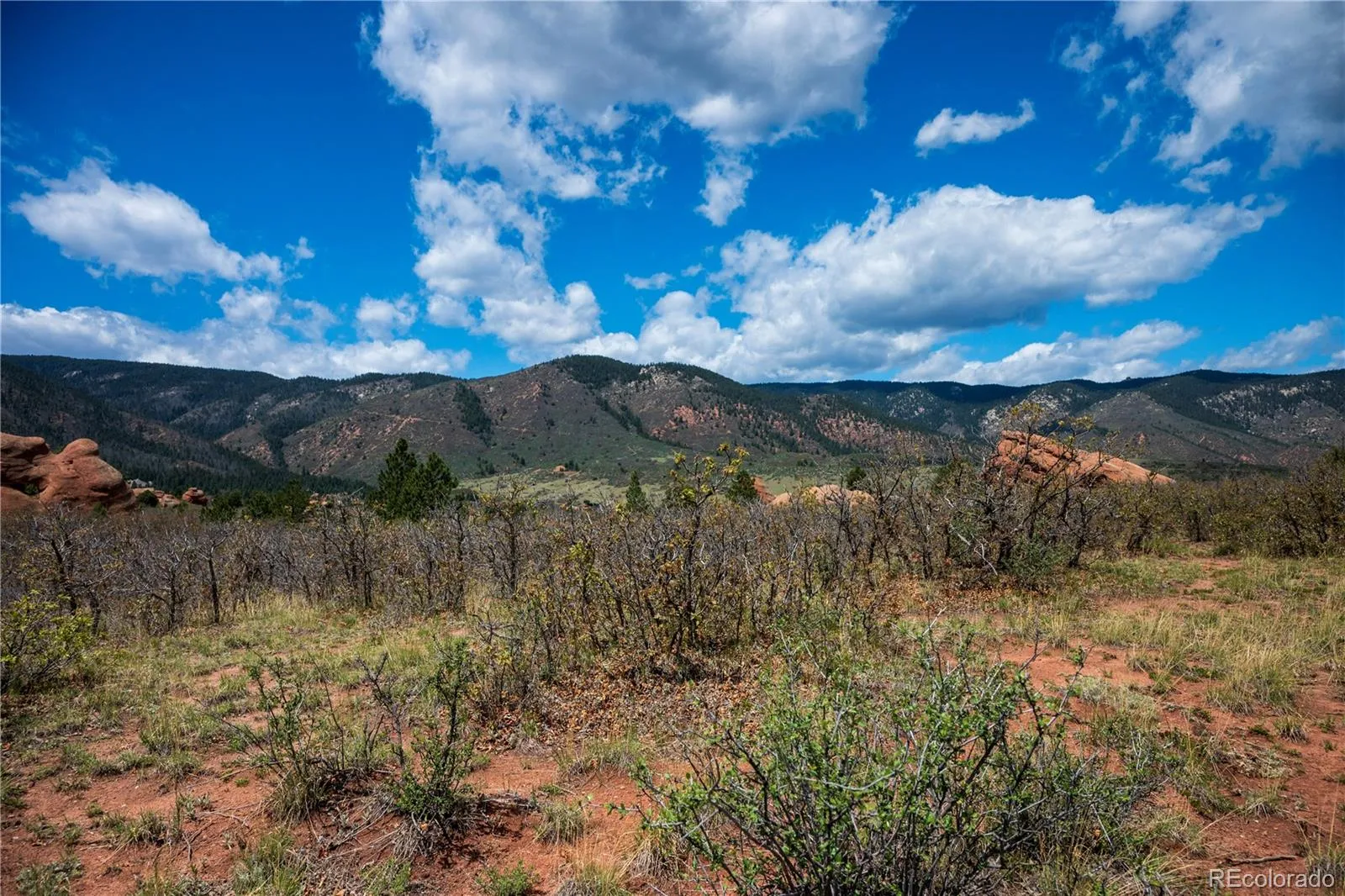 6128 Columbine Court Larkspur CO 80118 | MLS #REC4074062 05282026042547 1600 24