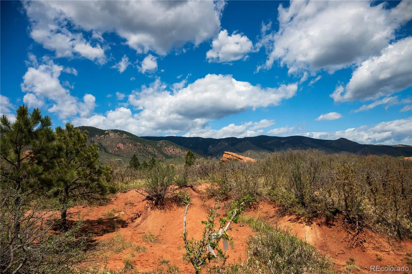 6128 Columbine Court Larkspur CO 80118 | MLS #REC4074062 05282026042547 1600 27