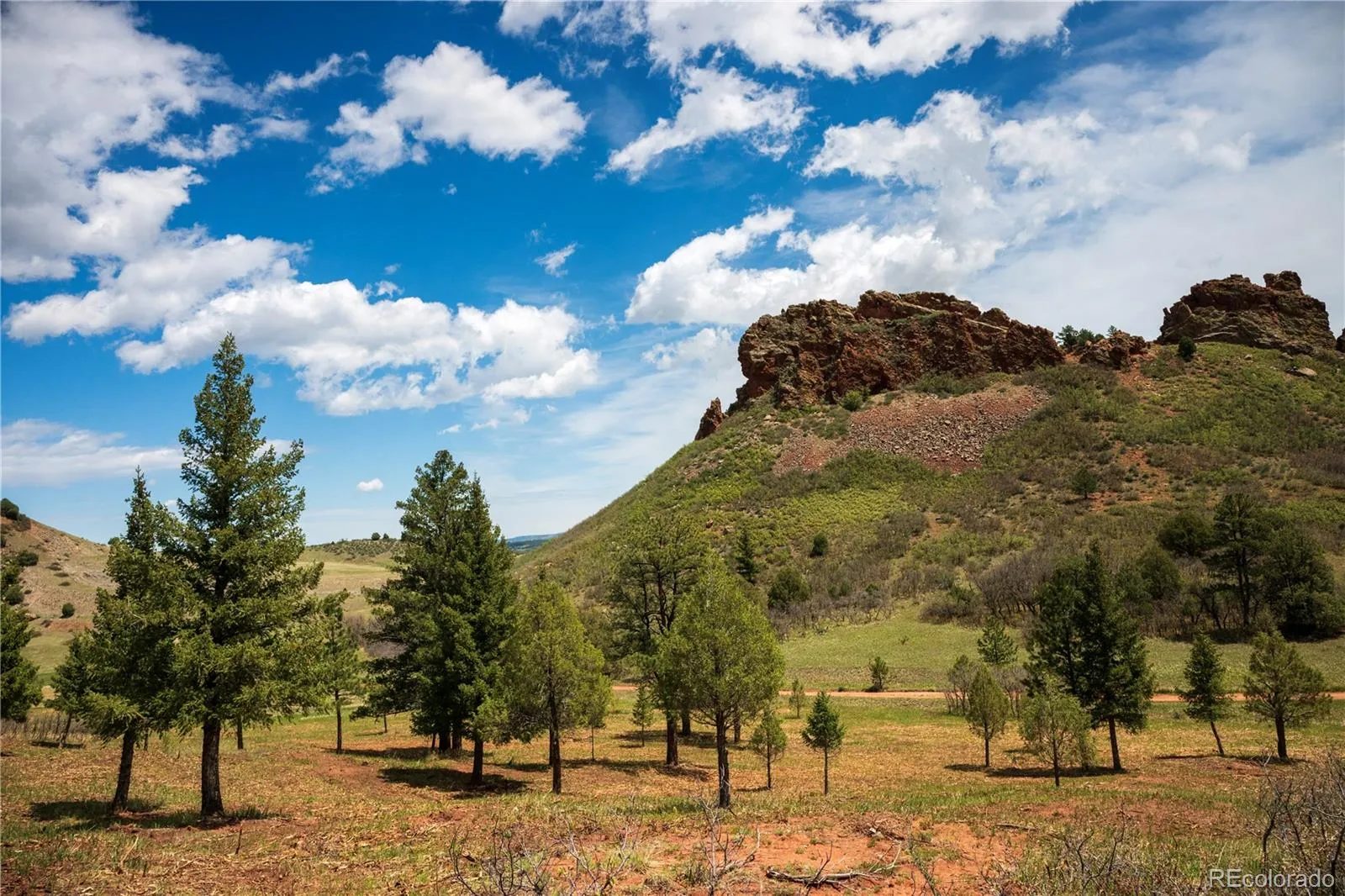 6128 Columbine Court Larkspur CO 80118 | MLS #REC4074062 05282026042547 1600 28