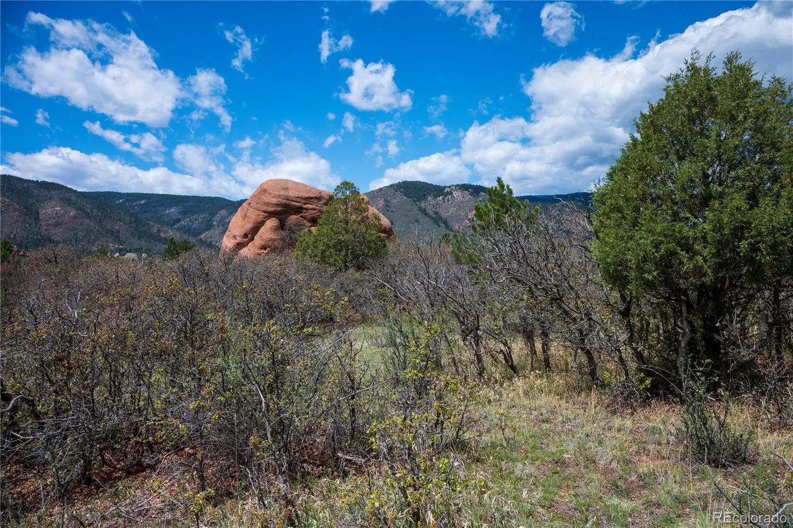6128 Columbine Court Larkspur CO 80118 | MLS #REC4074062 05282026042547 1600 32