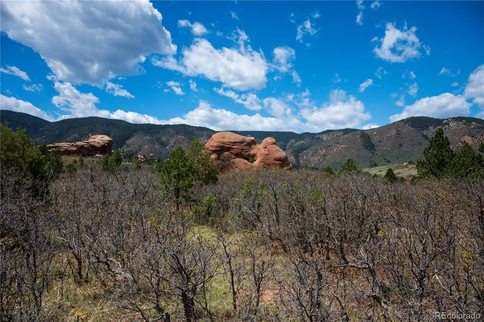 6128 Columbine Court Larkspur CO 80118 | MLS #REC4074062 05282026042547 1600 36