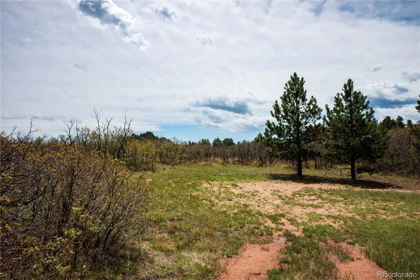 6128 Columbine Court Larkspur CO 80118 | MLS #REC4074062 05282026042547 1600 4
