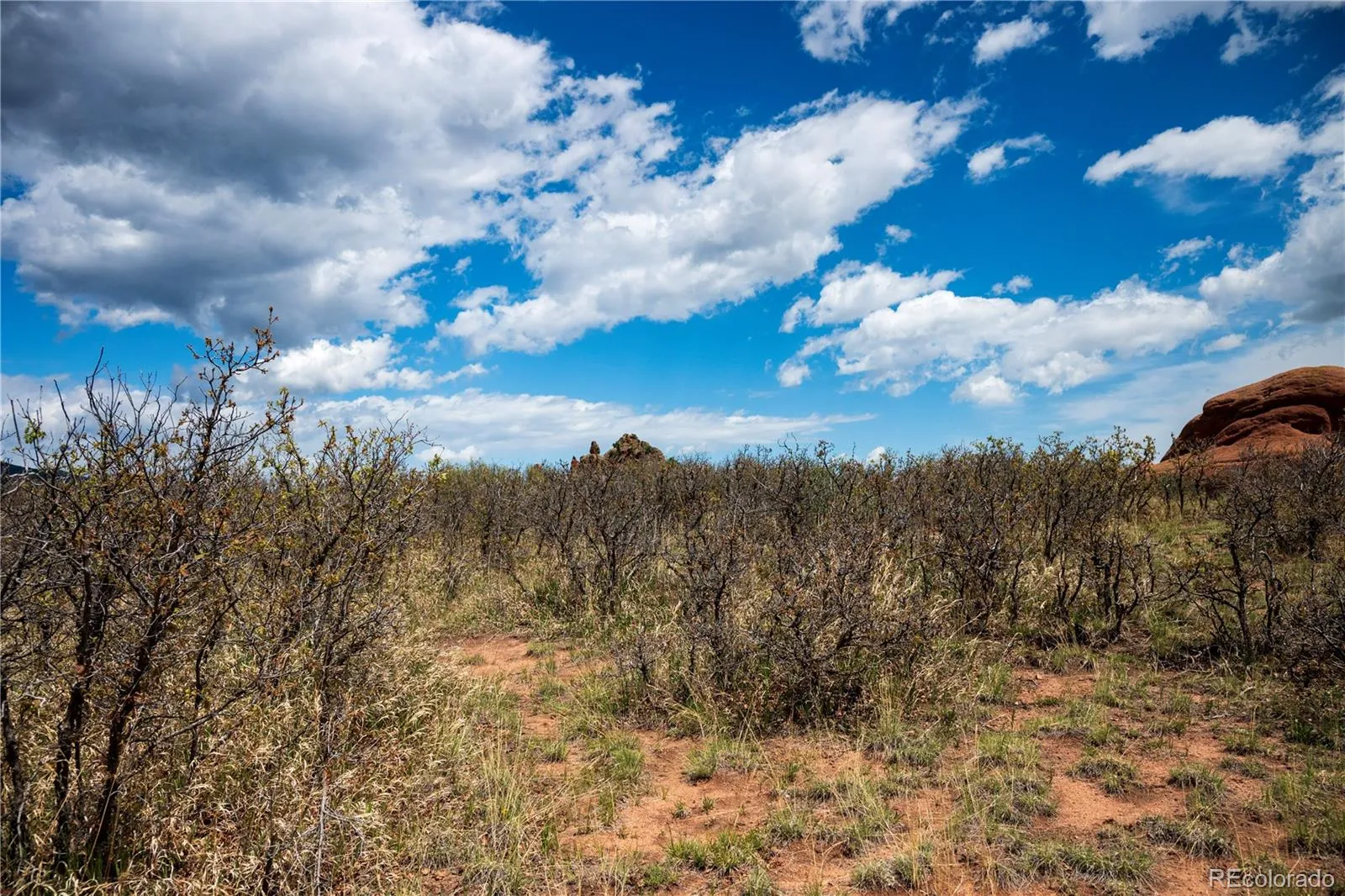 6128 Columbine Court Larkspur CO 80118 | MLS #REC4074062 05282026042547 1600 40