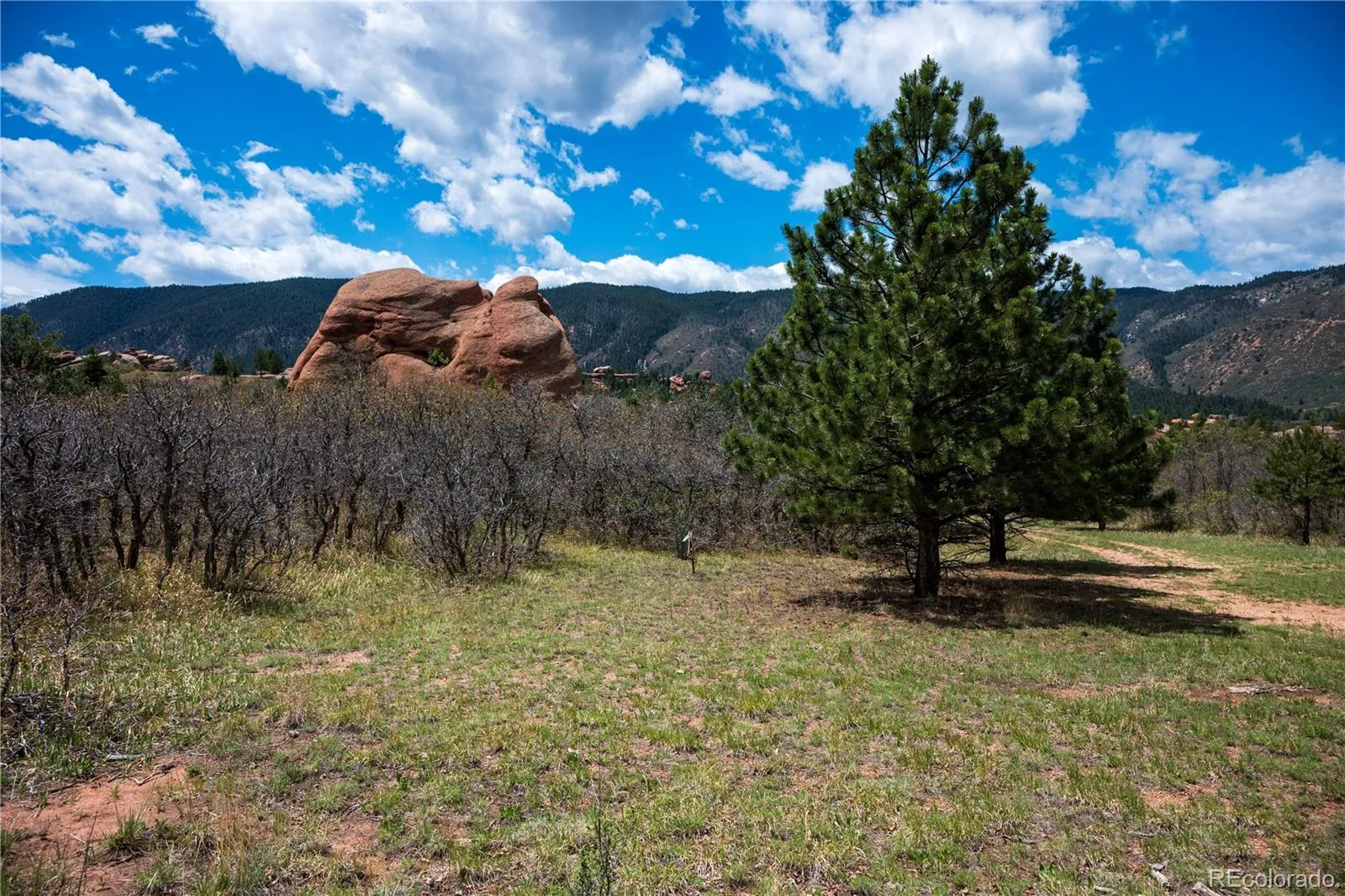 6128 Columbine Court Larkspur CO 80118 | MLS #REC4074062 05282026042547 1600 42