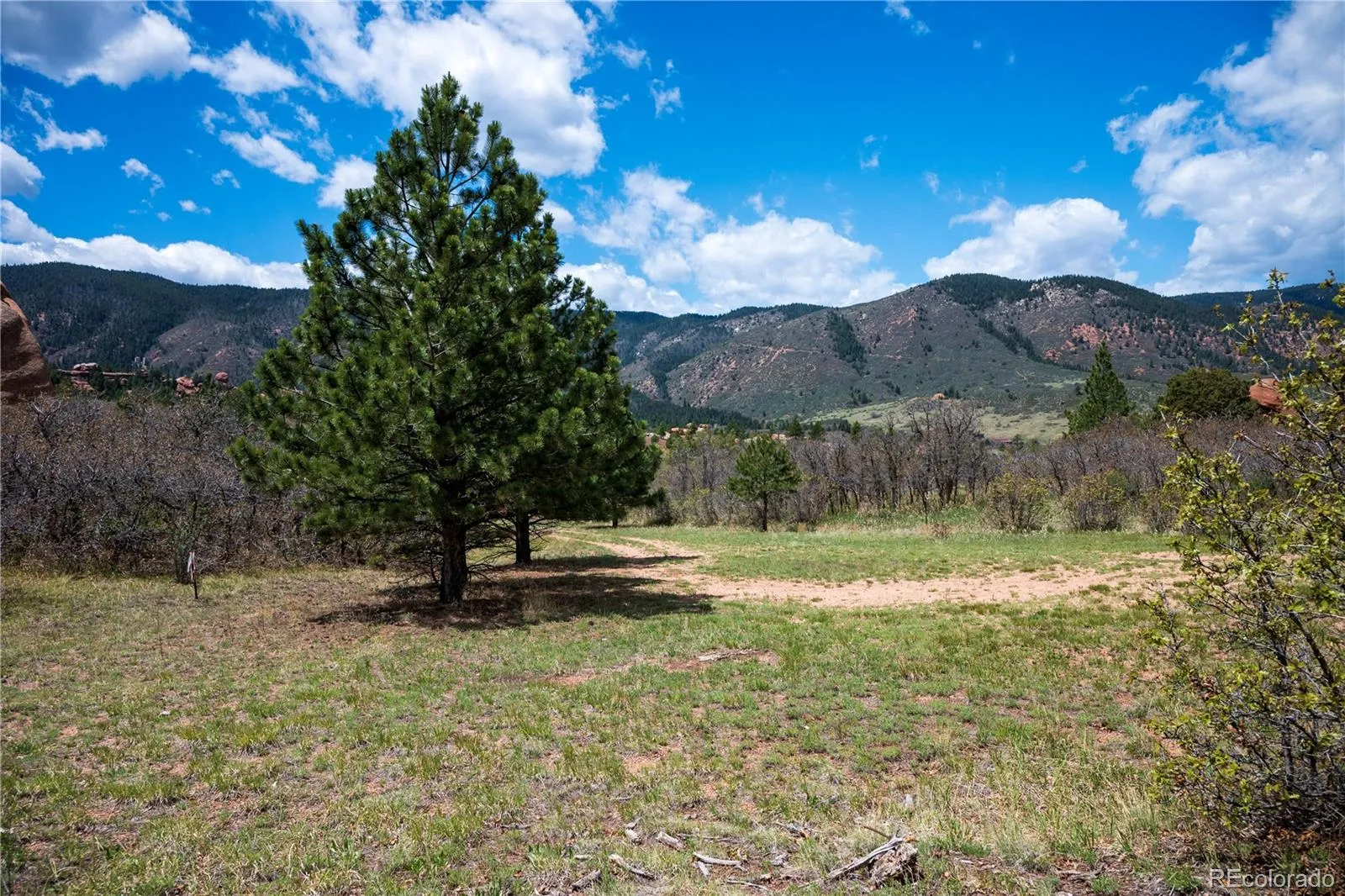 6128 Columbine Court Larkspur CO 80118 | MLS #REC4074062 05282026042547 1600 43