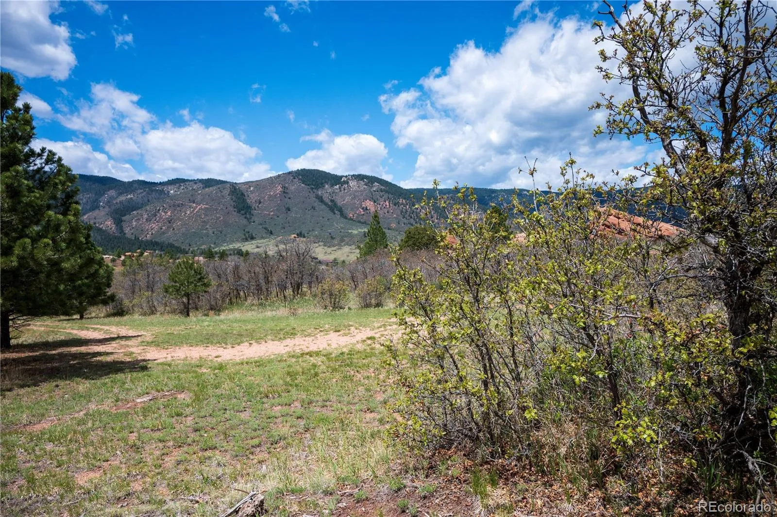 6128 Columbine Court Larkspur CO 80118 | MLS #REC4074062 05282026042547 1600 44