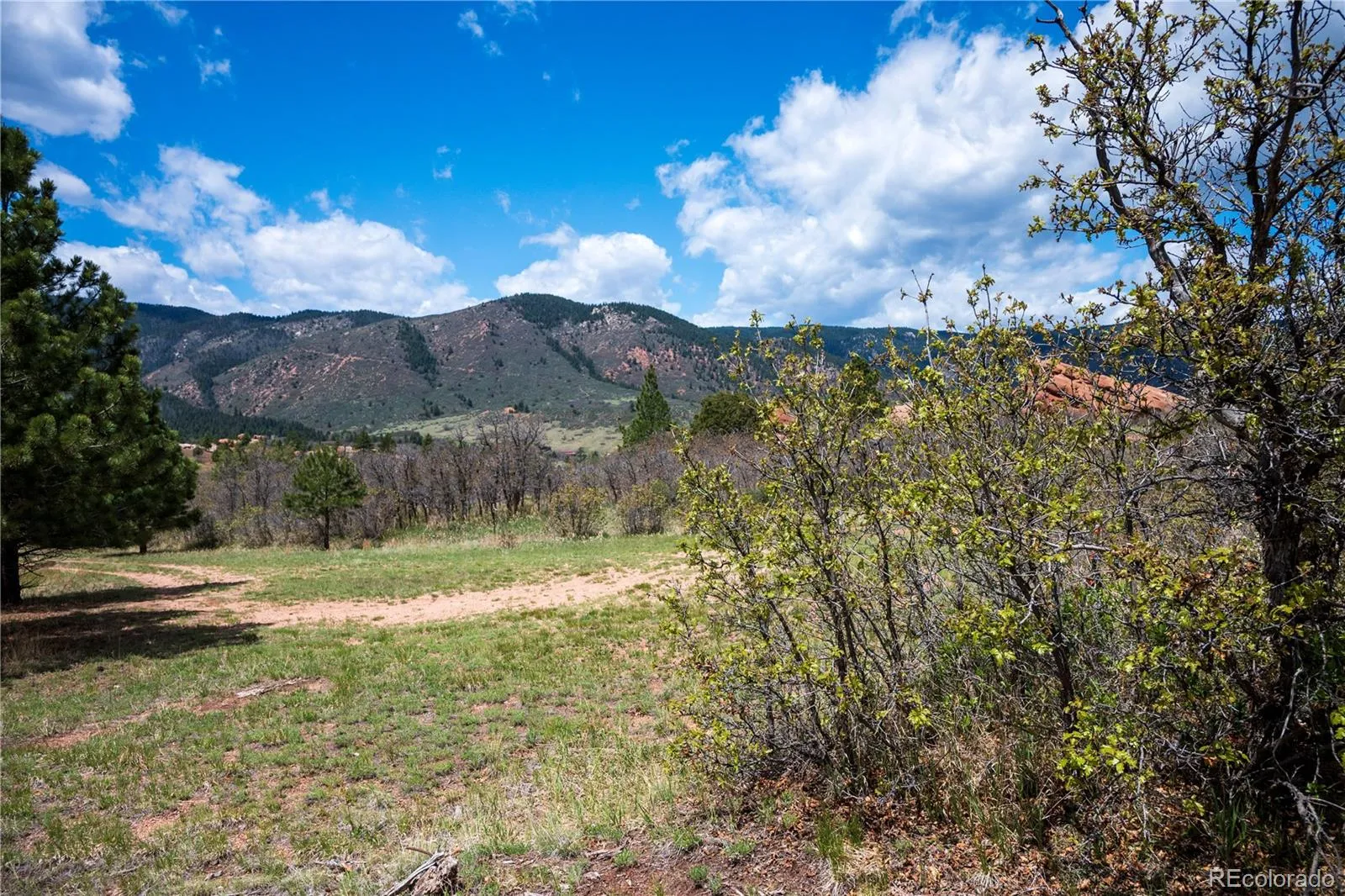 6128 Columbine Court Larkspur CO 80118 | MLS #REC4074062 05282026042547 1600 45