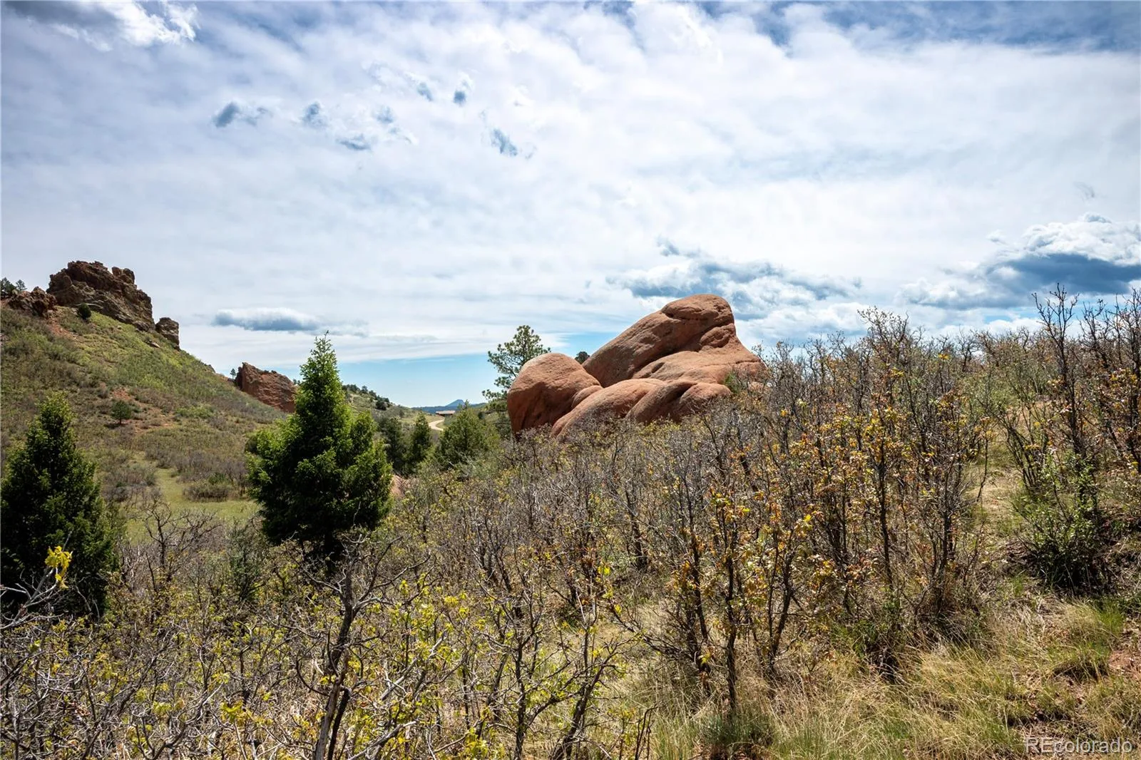 6128 Columbine Court Larkspur CO 80118 | MLS #REC4074062 05282026042547 1600 5