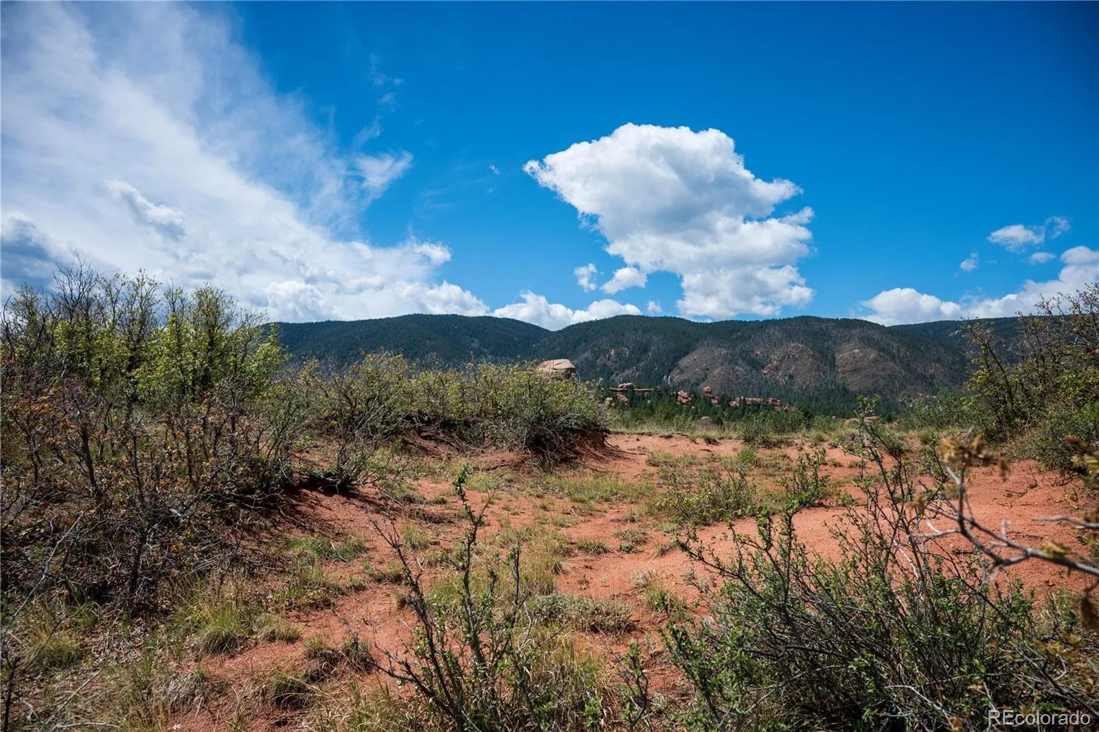 6128 Columbine Court Larkspur CO 80118 | MLS #REC4074062 05282026042547 1600 7
