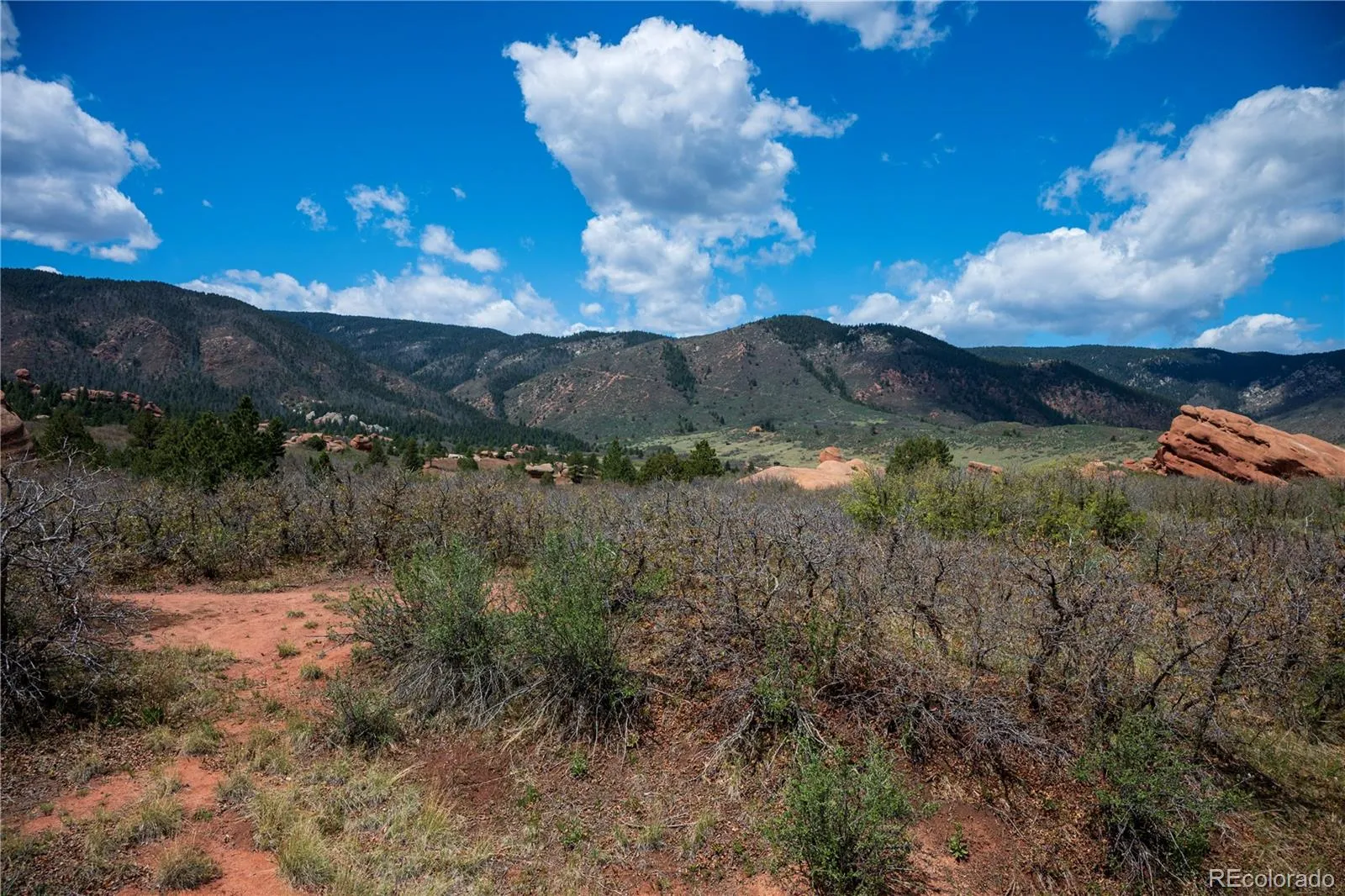 6128 Columbine Court Larkspur CO 80118 | MLS #REC4074062 05282026042547 1600 8