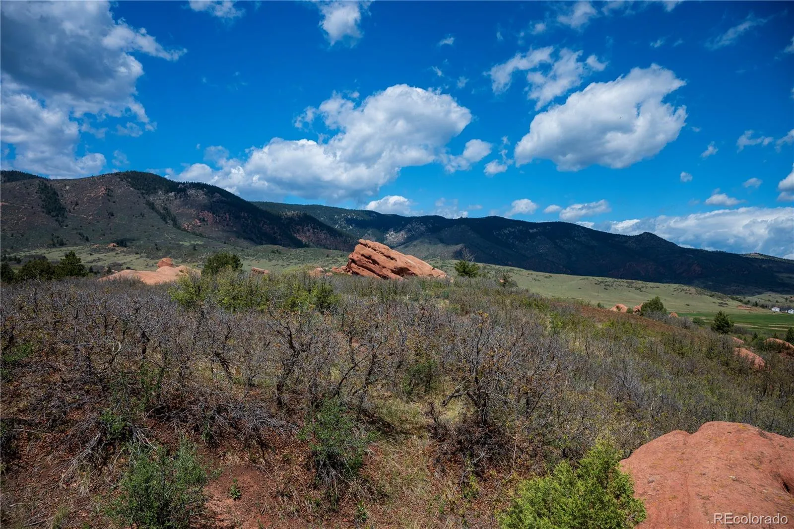 6128 Columbine Court Larkspur CO 80118 | MLS #REC4074062 05282026042547 1600 9
