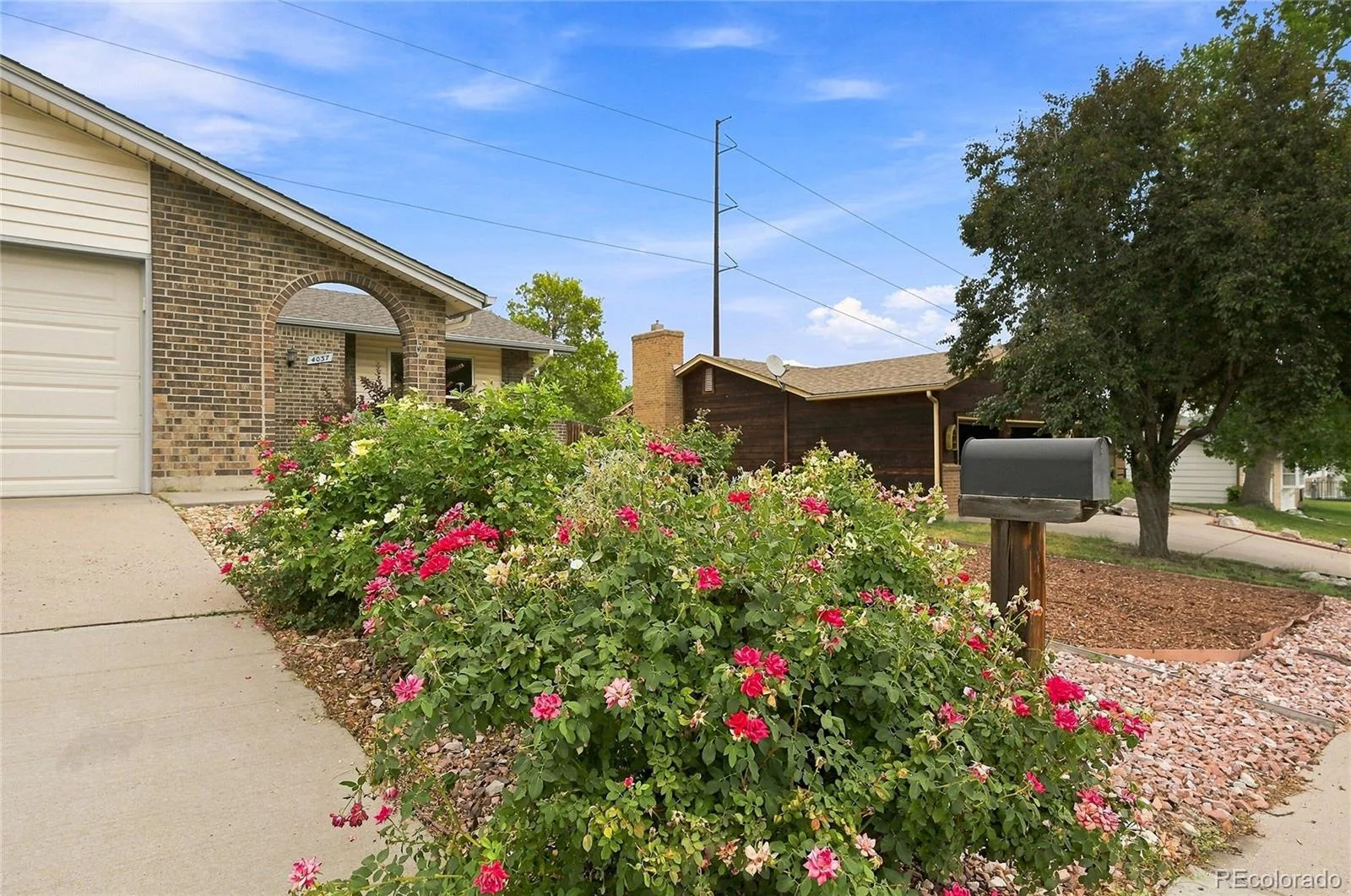4037 E Caley Place Littleton CO 80121 | MLS #REC4078941 08162026051541 1600 3