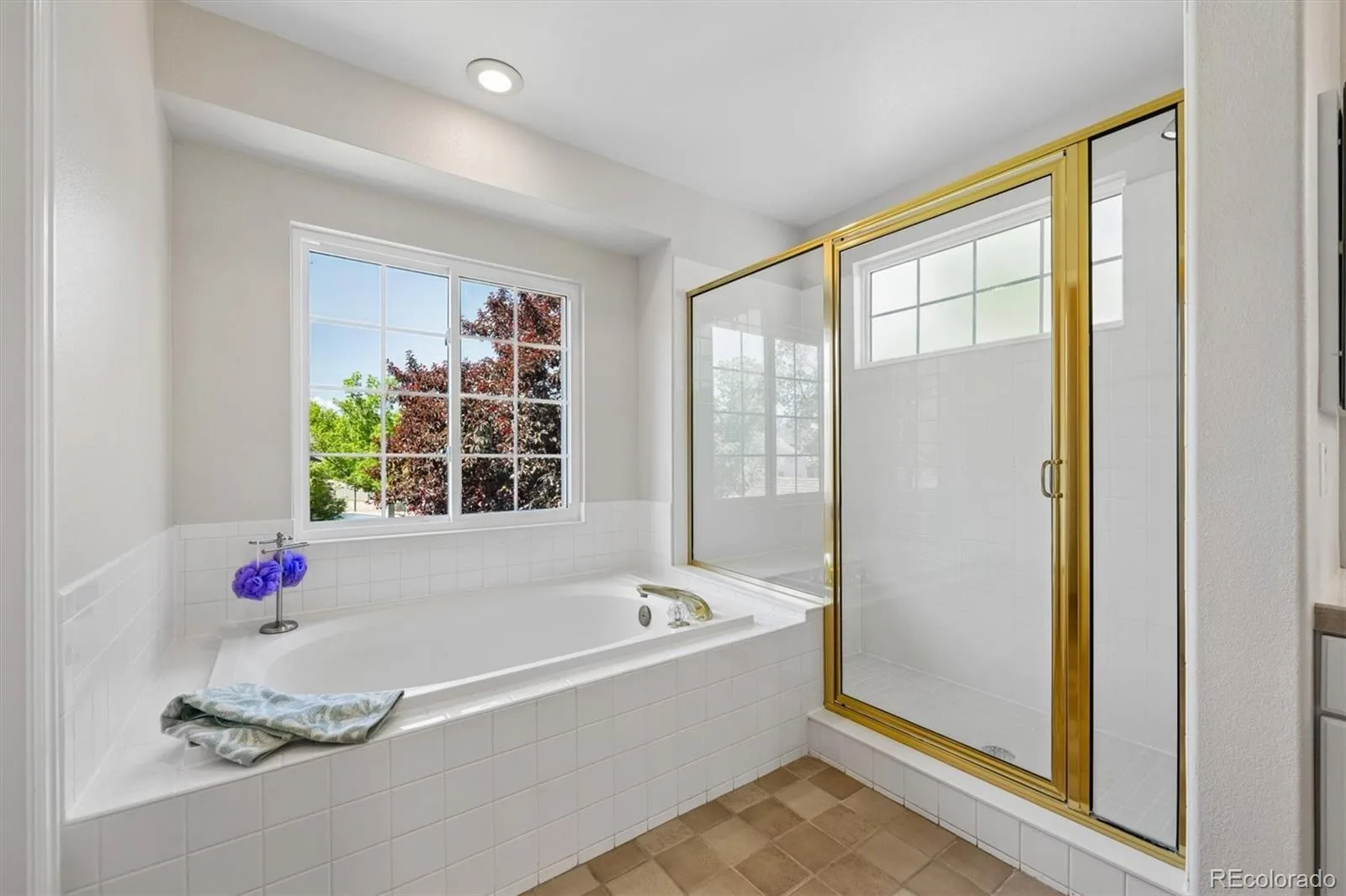 18917 E Union Drive Aurora CO 80015 MLS #REC4080522 06022026072103 1600 21