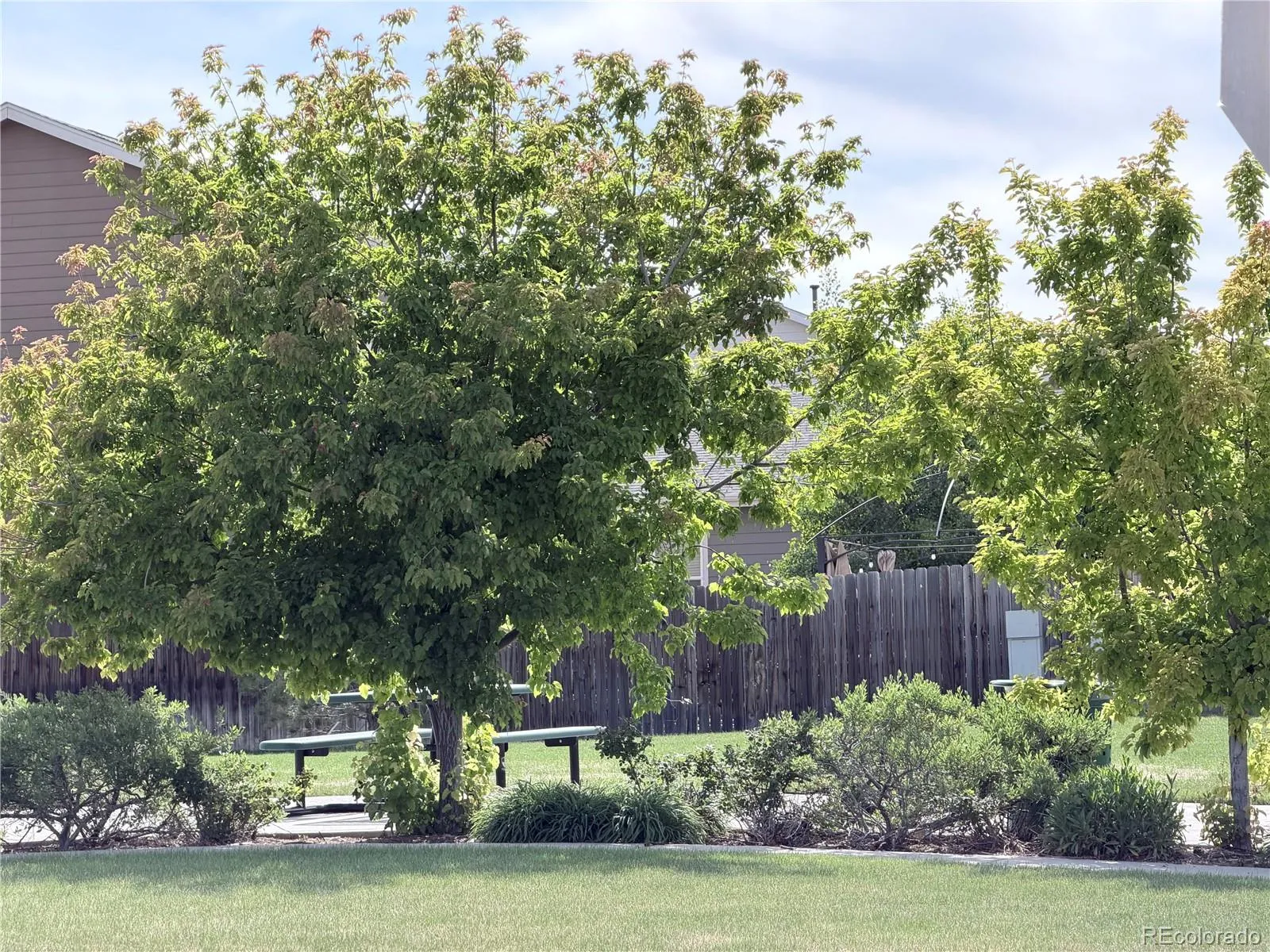 575 Solano Drive Lochbuie CO 80603 | MLS #REC4080662 05282026030017 1600 36