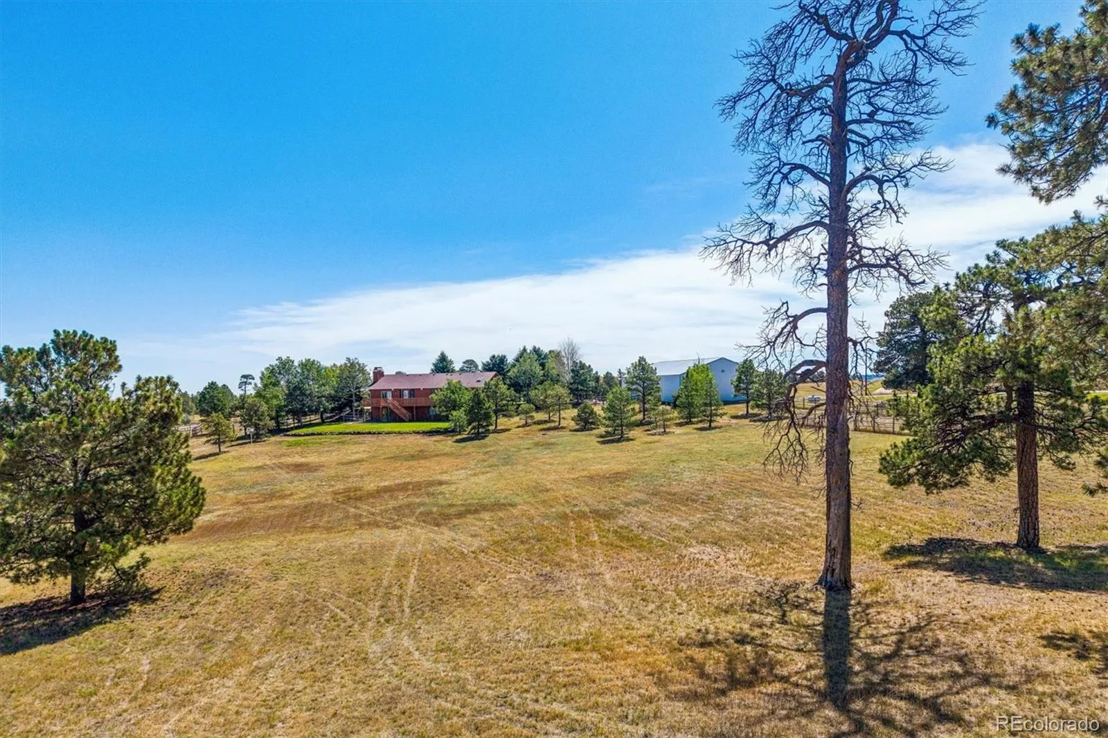41029 Thunder Hill Road Parker CO 80138 | MLS #REC4095991 08192026174525 1600 39
