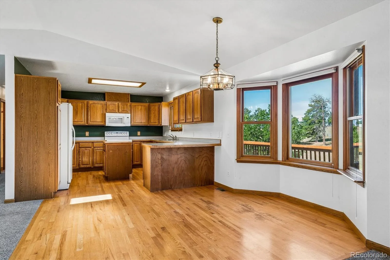 41029 Thunder Hill Road Parker CO 80138 | MLS #REC4095991 08192026174525 1600 5