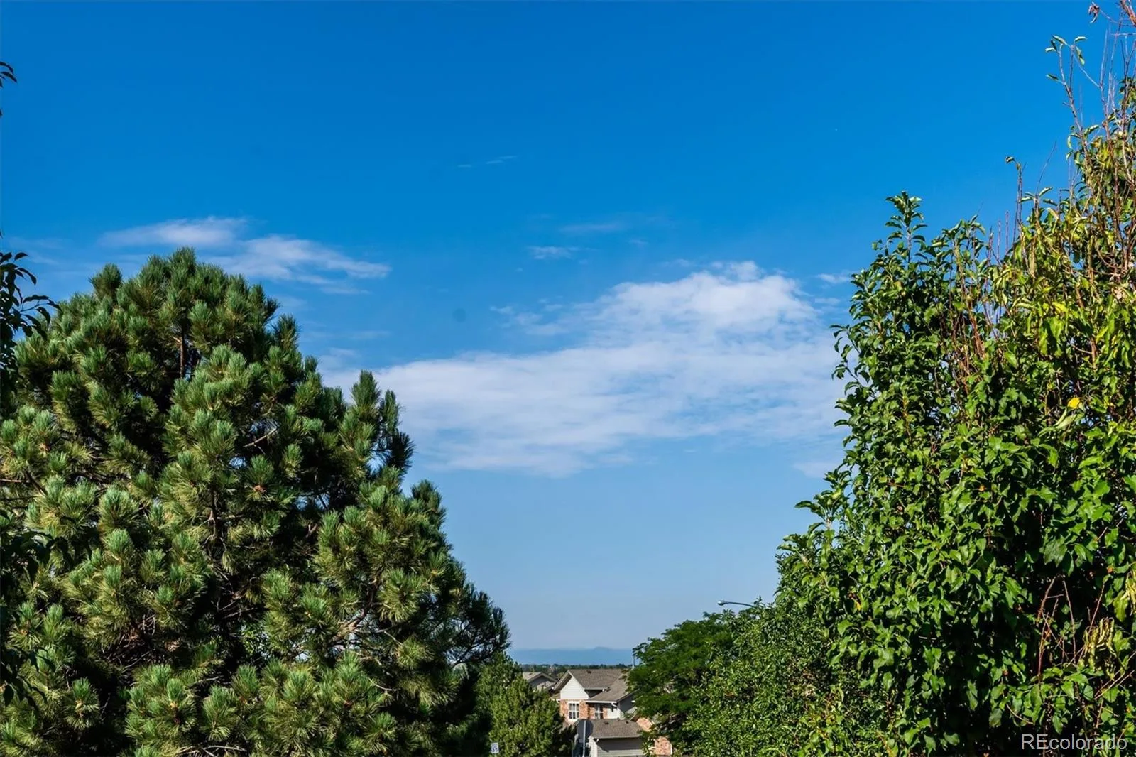 2639 S Danube Way Aurora CO 80013 | MLS #REC4104981 08132026143613 1600 32