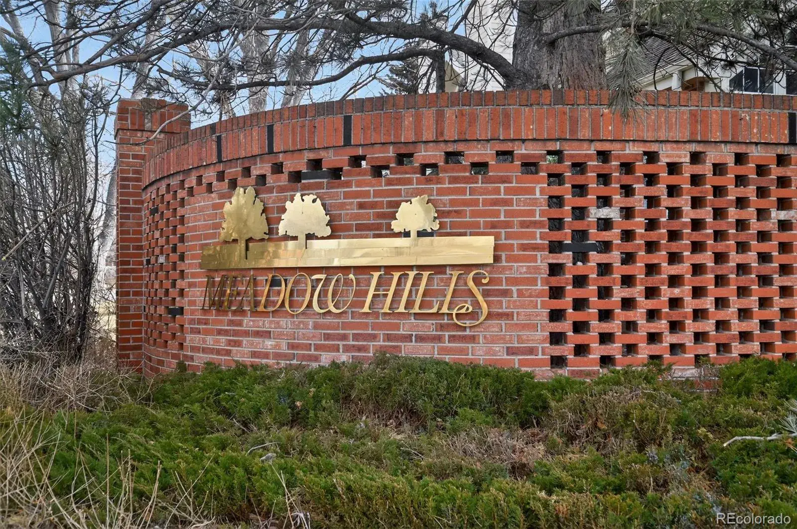 13873 E Lehigh Avenue #C Aurora CO 80014 MLS #REC4107549 02262026011611 1600 35