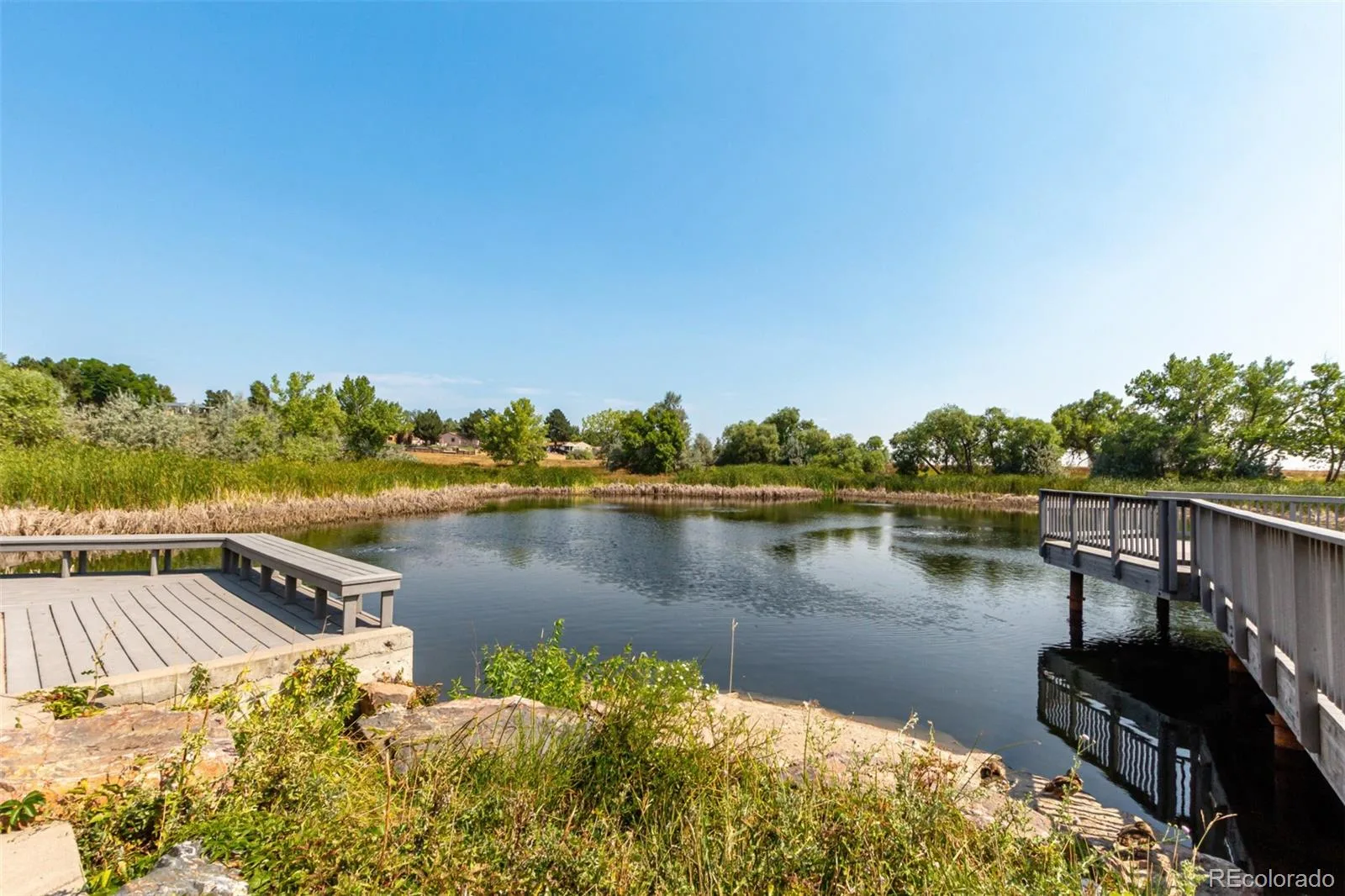 7680 Depew Street #1424 Arvada CO 80003 | MLS #REC4112691 06152026211226 1600 31