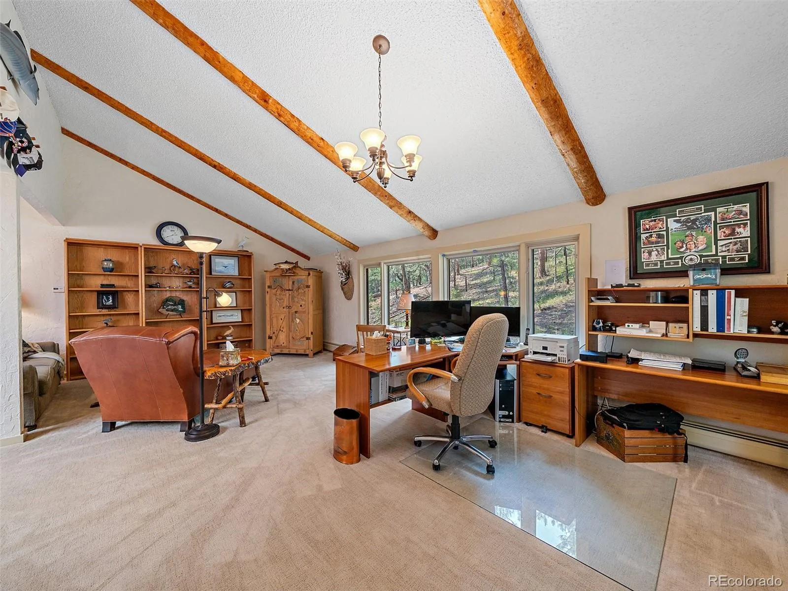 34393 Upper Bear Creek Road Evergreen CO 80439 | MLS #REC4114307 08112026132510 1600 30