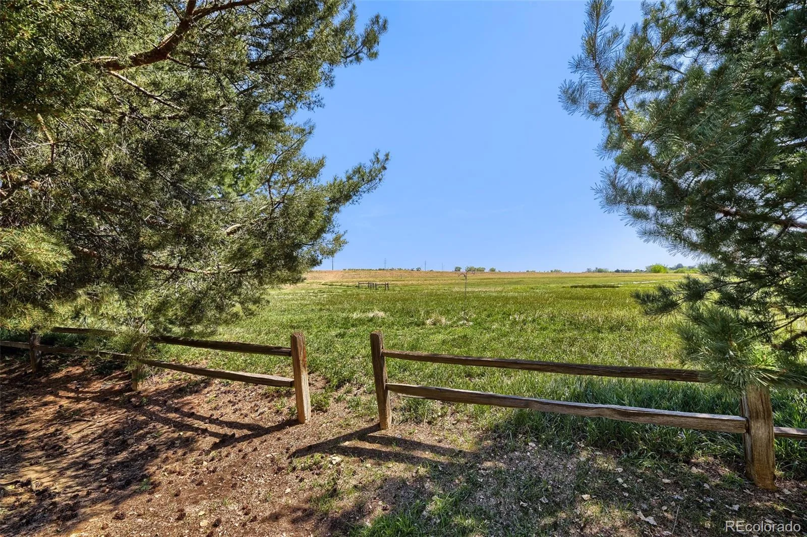 4376 S Quail Street Littleton CO 80127 | MLS #REC4114924 08272026182408 1600 21
