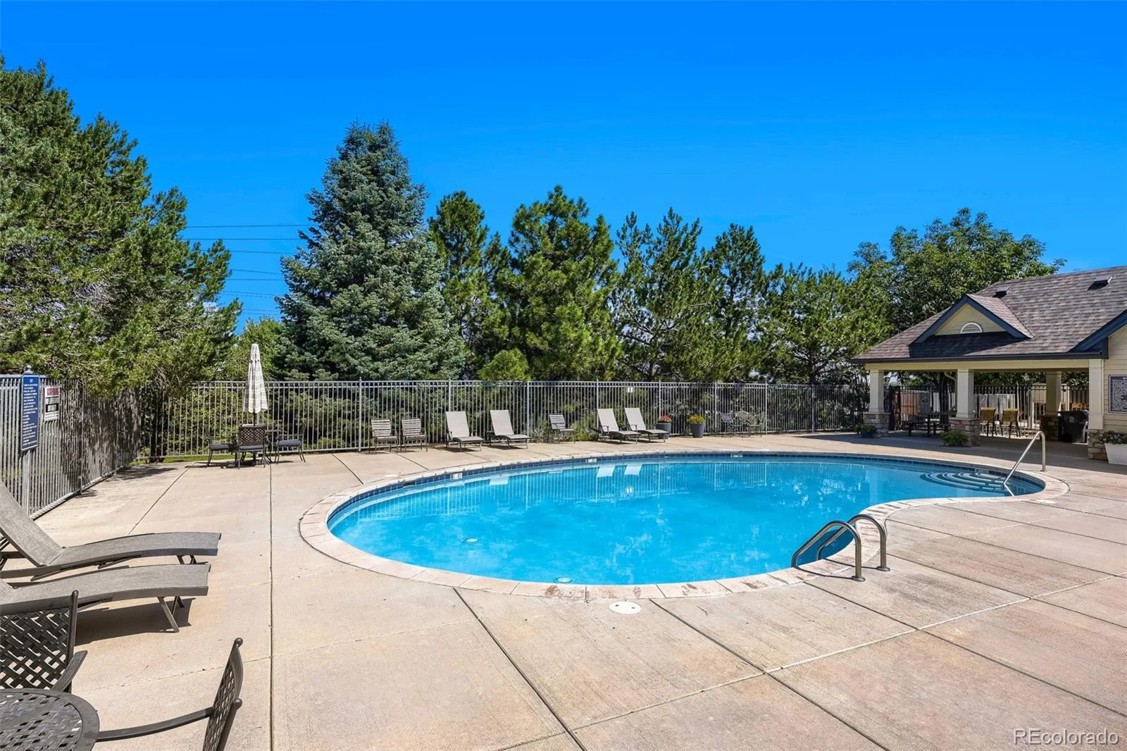 4376 S Quail Street Littleton CO 80127 | MLS #REC4114924 08272026182408 1600 24